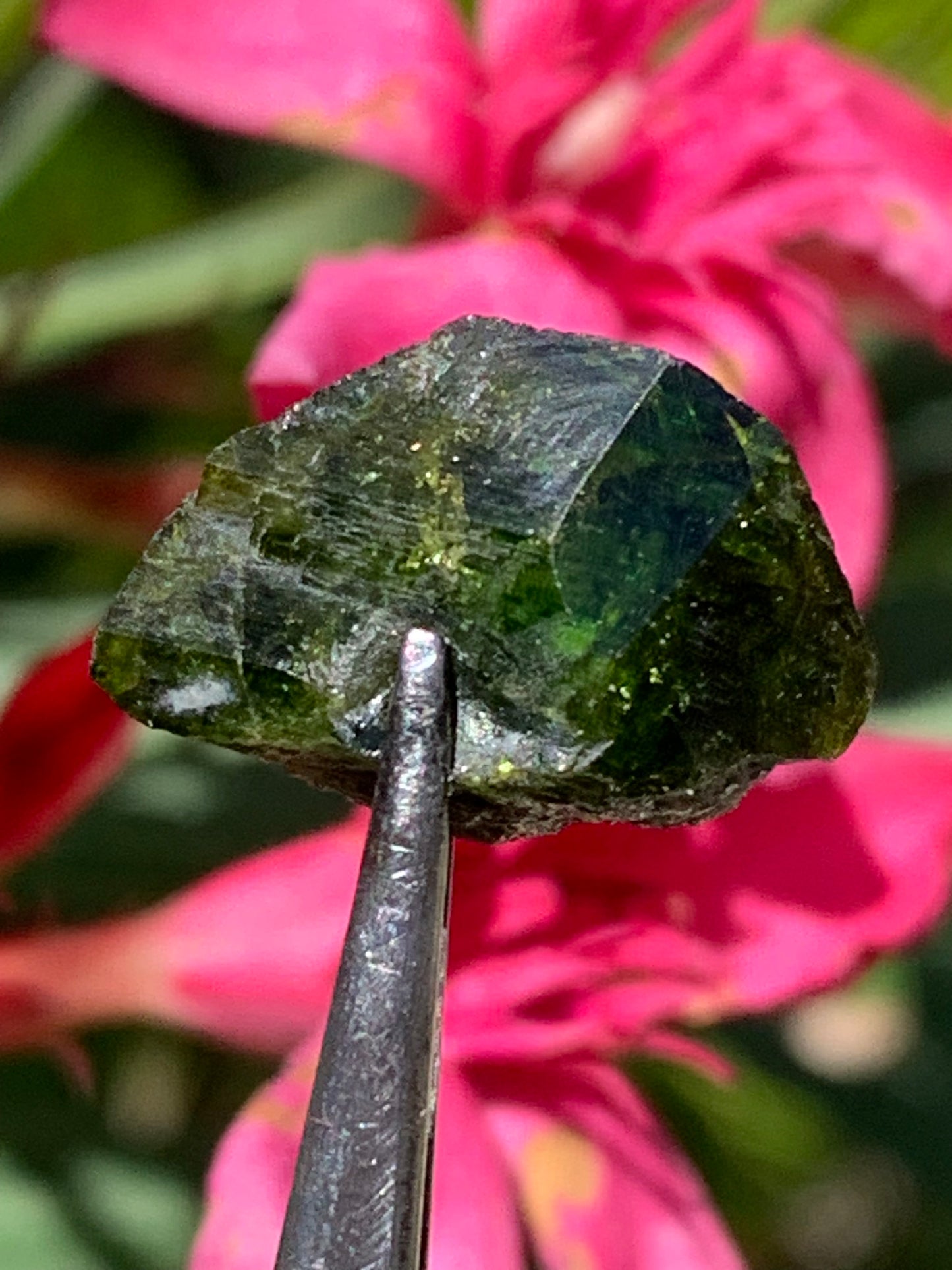 Vesuvianite also called Idocrase (little known), specimen of 19 mm x 14 x 8 - 2 grams! Superb little piece!