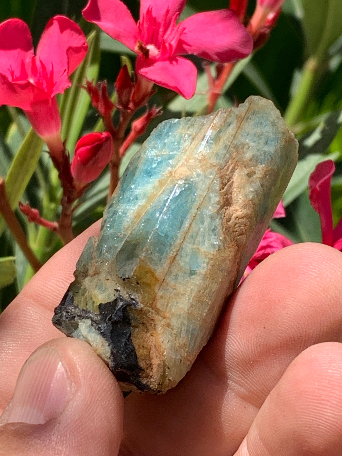 Béryl bleu, spécimen de 52mm x 26 x 23 - 52 grammes. Parfait en collection, exposition, lithothérapie...