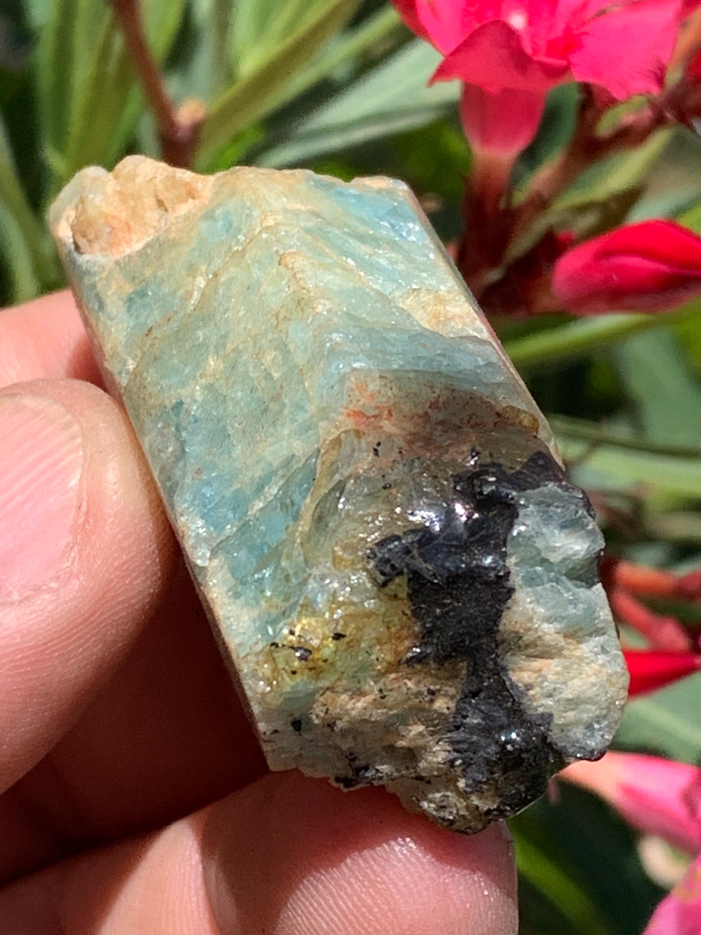 Béryl bleu, spécimen de 52mm x 26 x 23 - 52 grammes. Parfait en collection, exposition, lithothérapie...