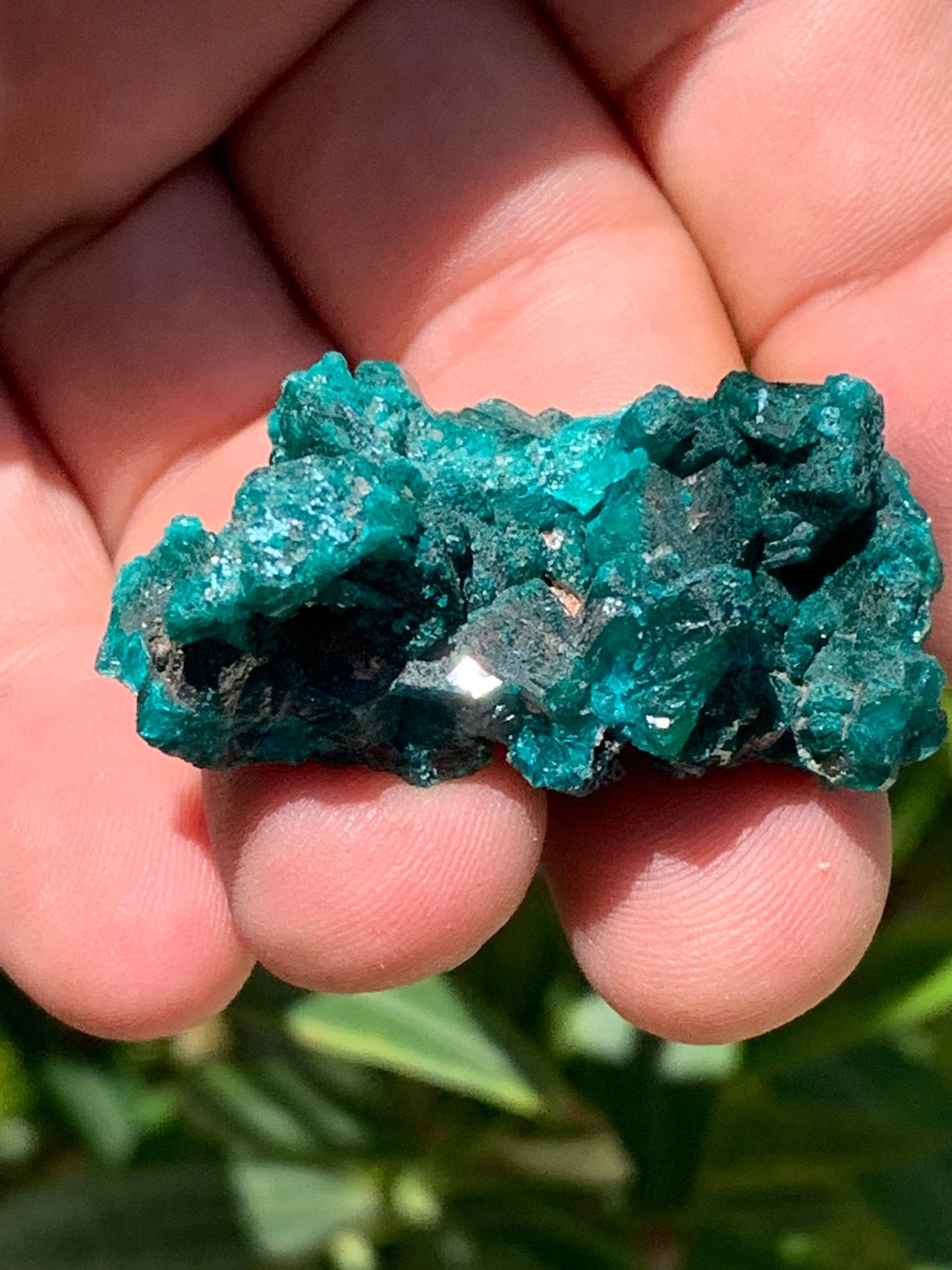 Dioptase, spécimen cristalisé de 46mm x 30 x 20 - 28 grammes ! Rare et puissante en minéralogie et lithothérapie !