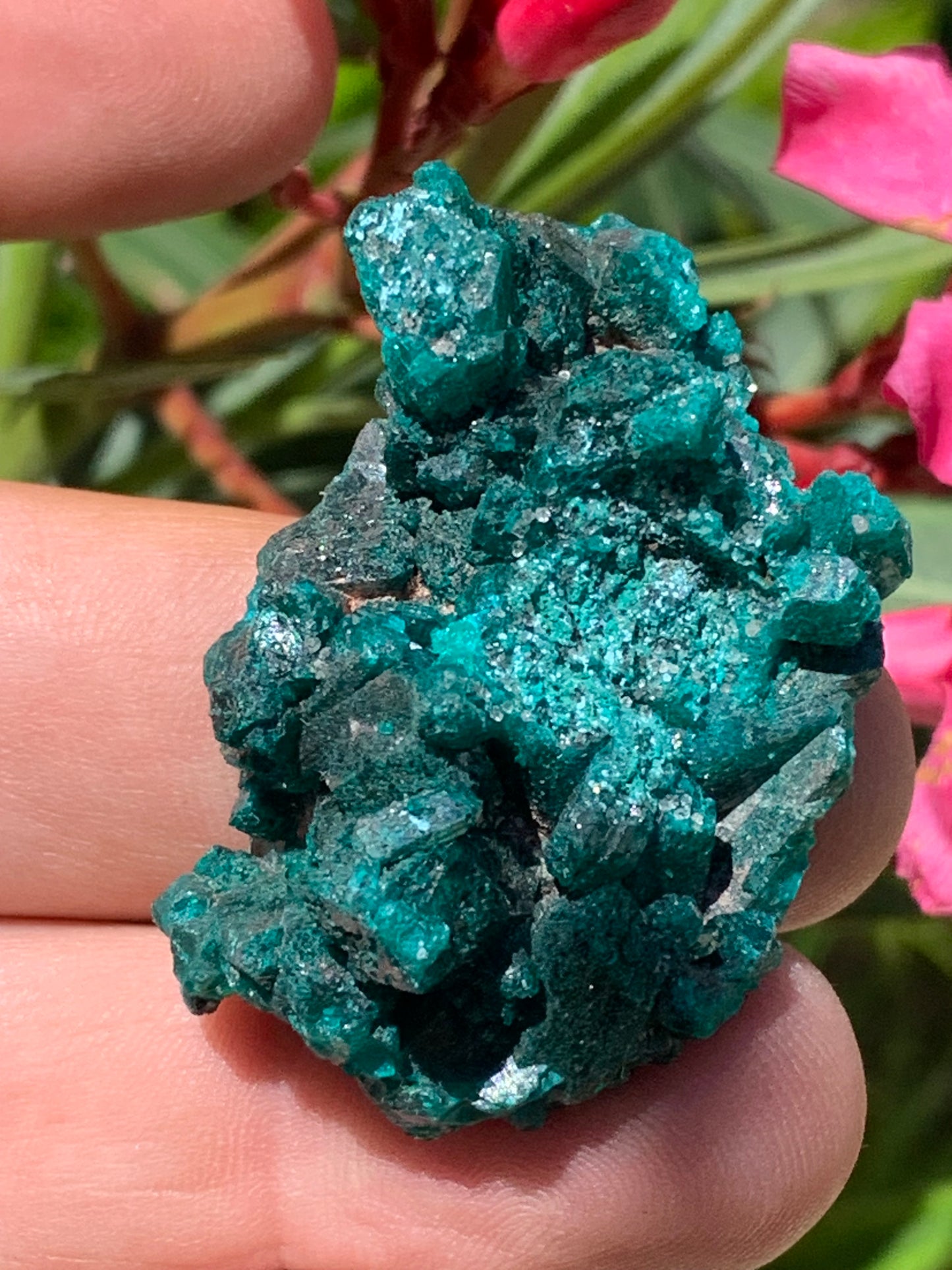 Dioptase, spécimen cristalisé de 46mm x 30 x 20 - 28 grammes ! Rare et puissante en minéralogie et lithothérapie !