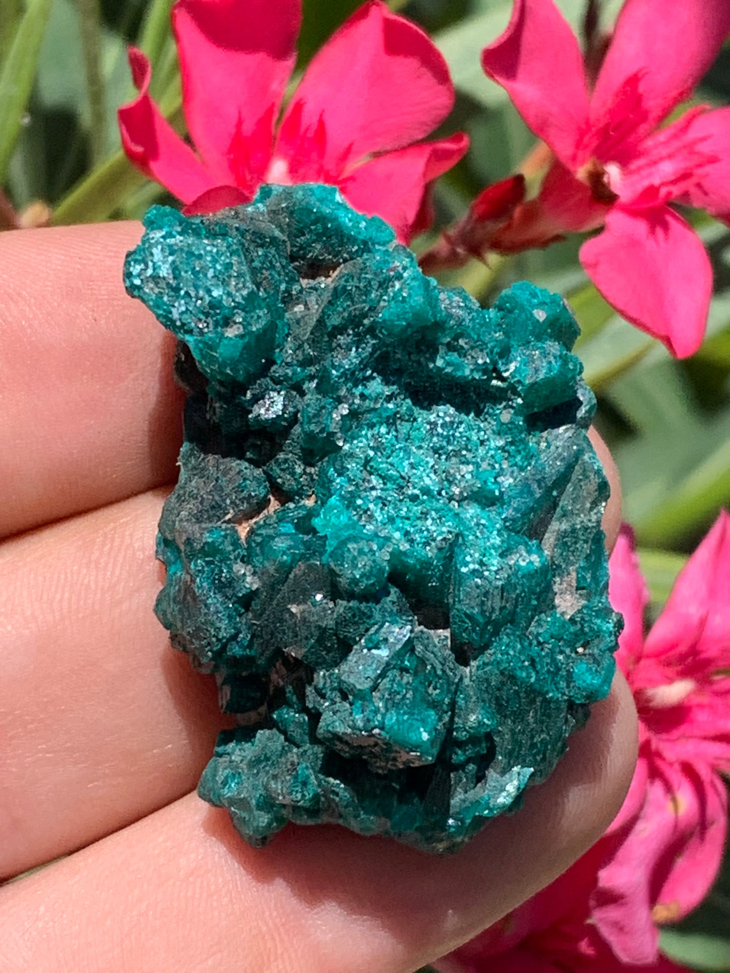 Dioptase, spécimen cristalisé de 46mm x 30 x 20 - 28 grammes ! Rare et puissante en minéralogie et lithothérapie !