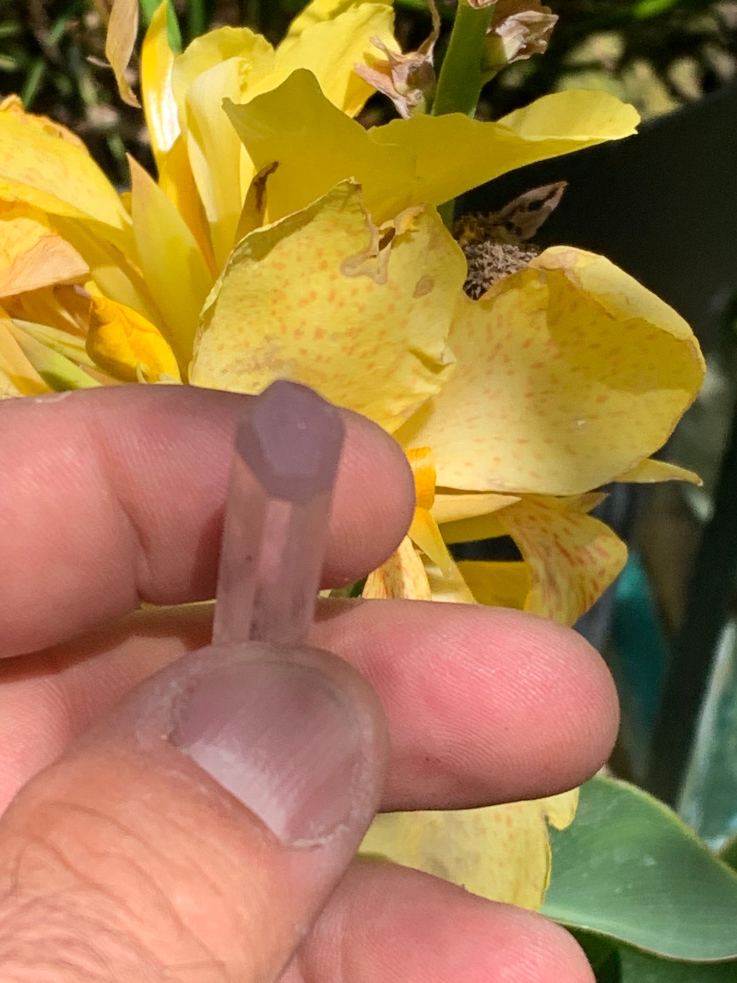 Kunzite, spècimen de 47mm x10 x 9 - 9,5 grammes. Parfait pour la bijouterie, collection, exposition...