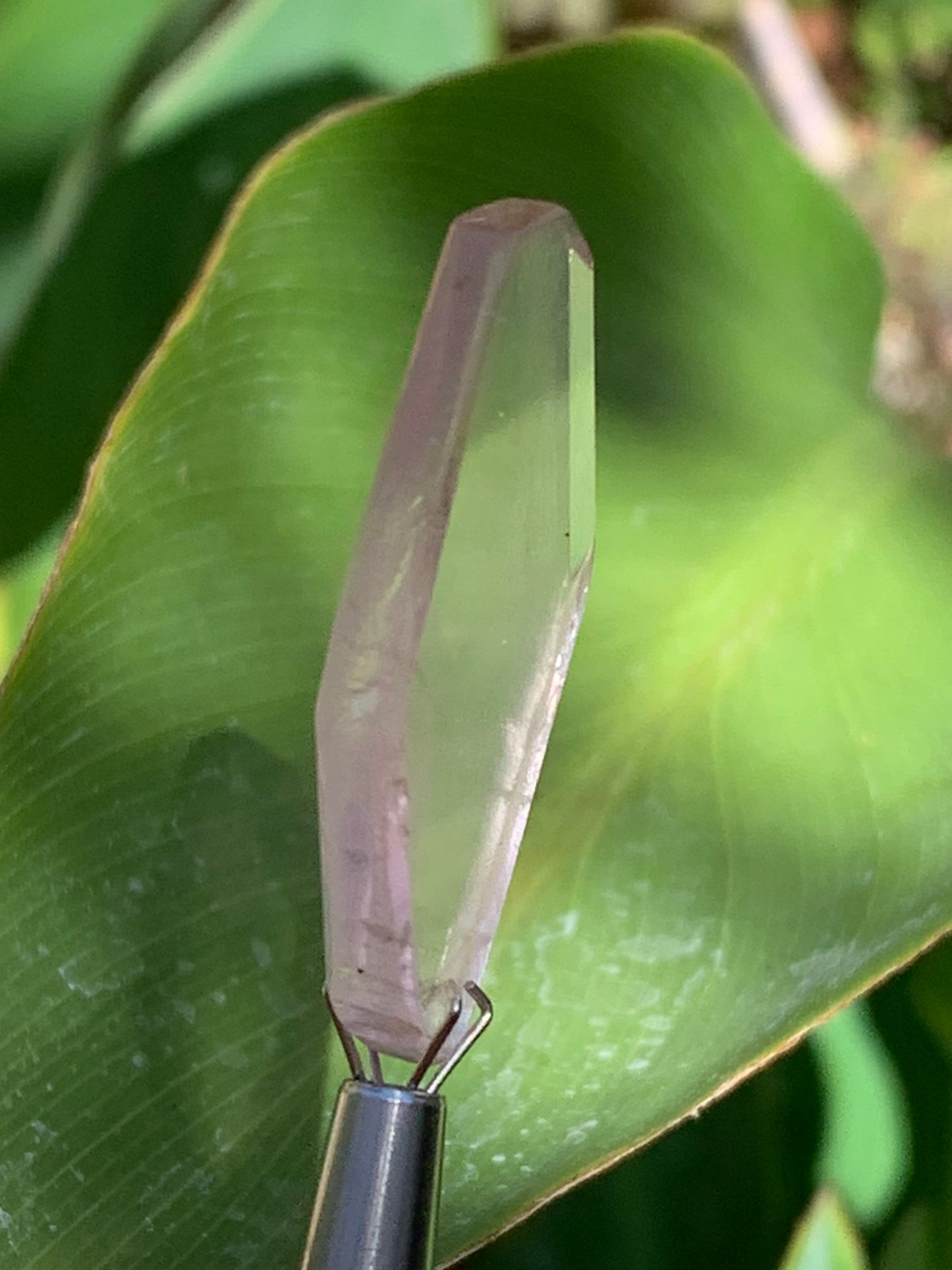 Kunzite, spècimen de 35mm x17 x 4 - 4,9 grammes. Parfait pour la bijouterie, collection, exposition...