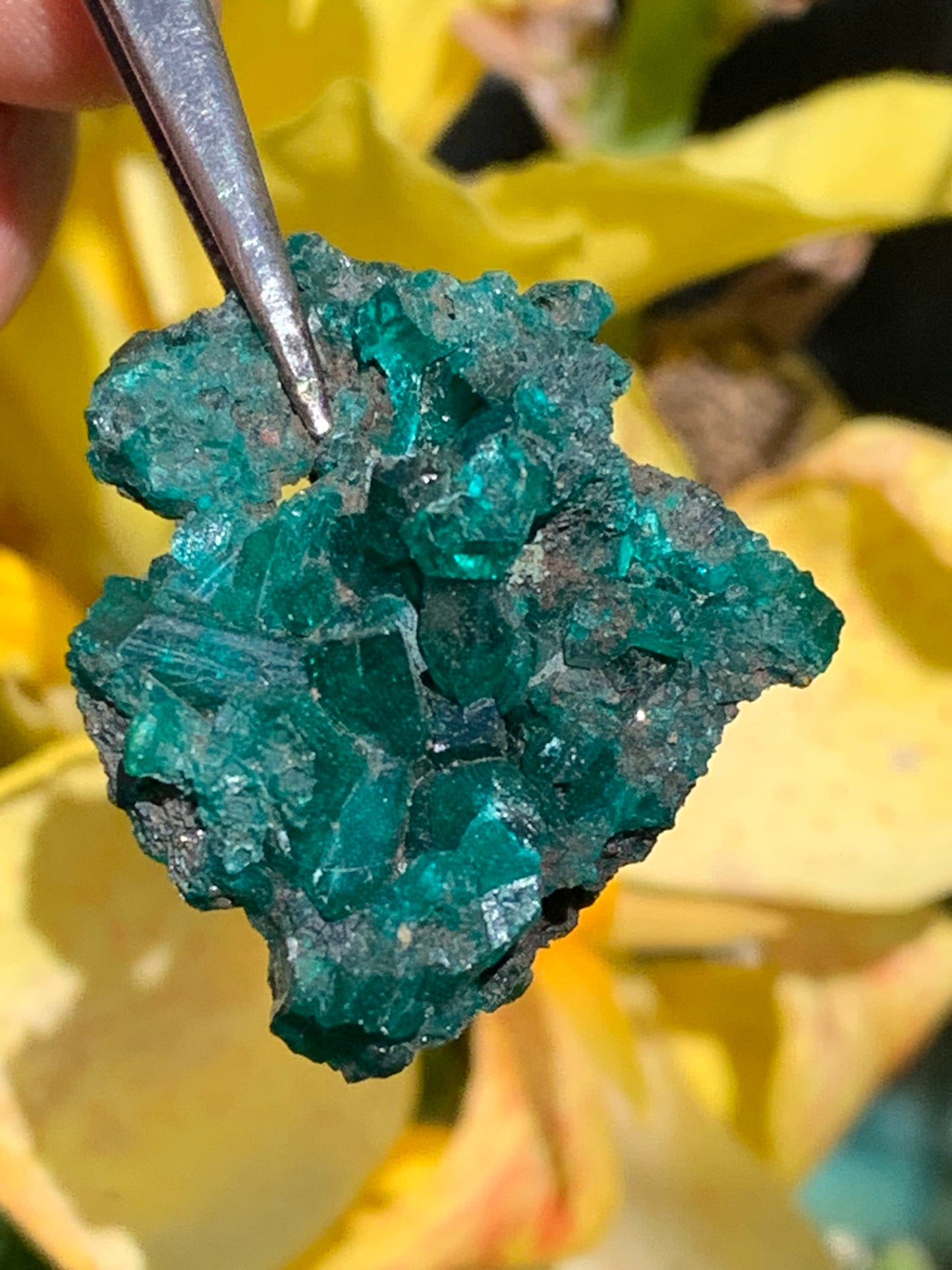Dioptase, spécimen cristalisé de 32mm x 26 x 14 - 7,8 grammes ! Rare et puissante en minéralogie et lithothérapie !