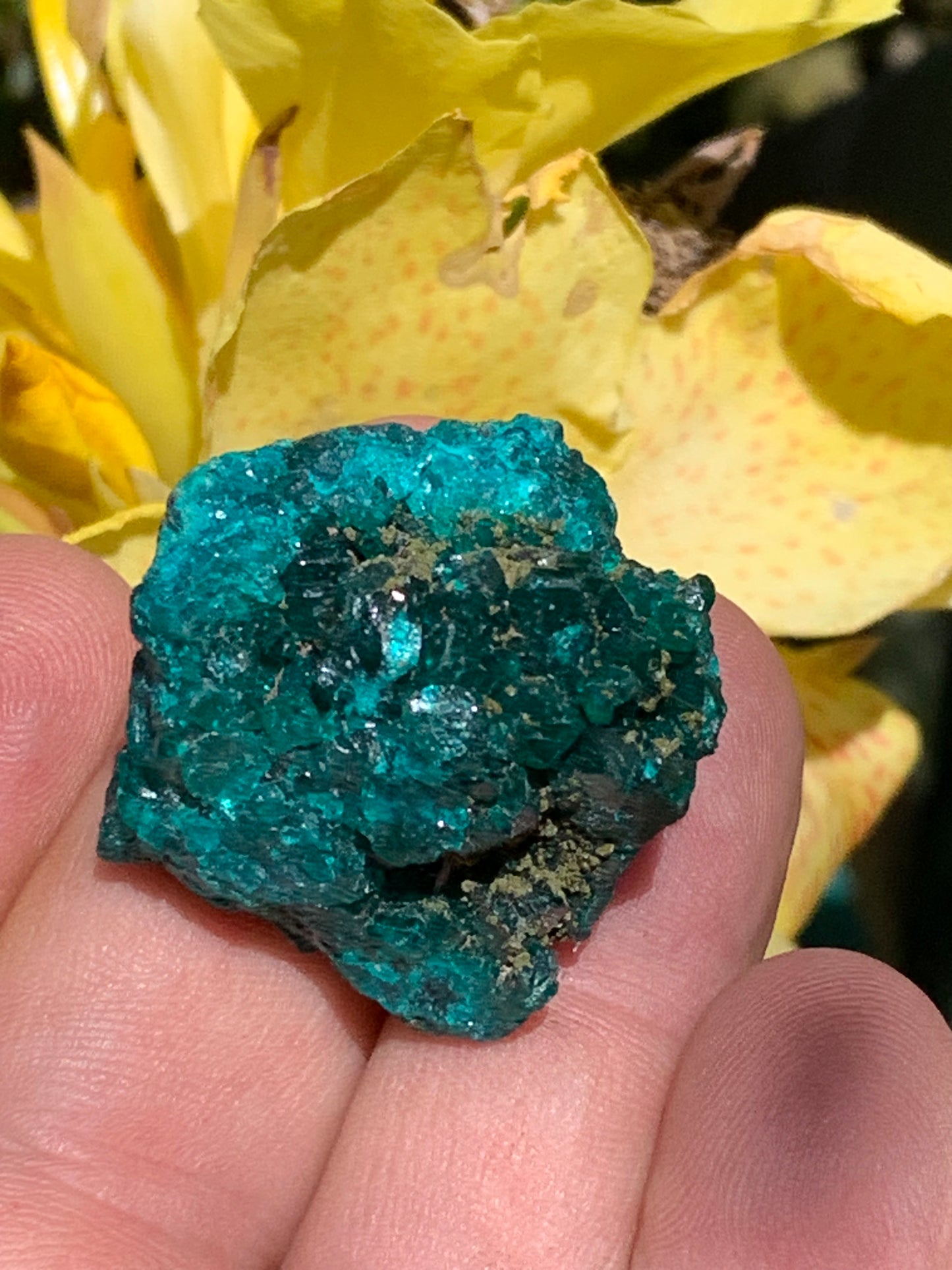 Dioptase, spécimen cristalisé de 32mm x 30 x 24 - 31,3 grammes ! Rare et puissante en minéralogie et lithothérapie !