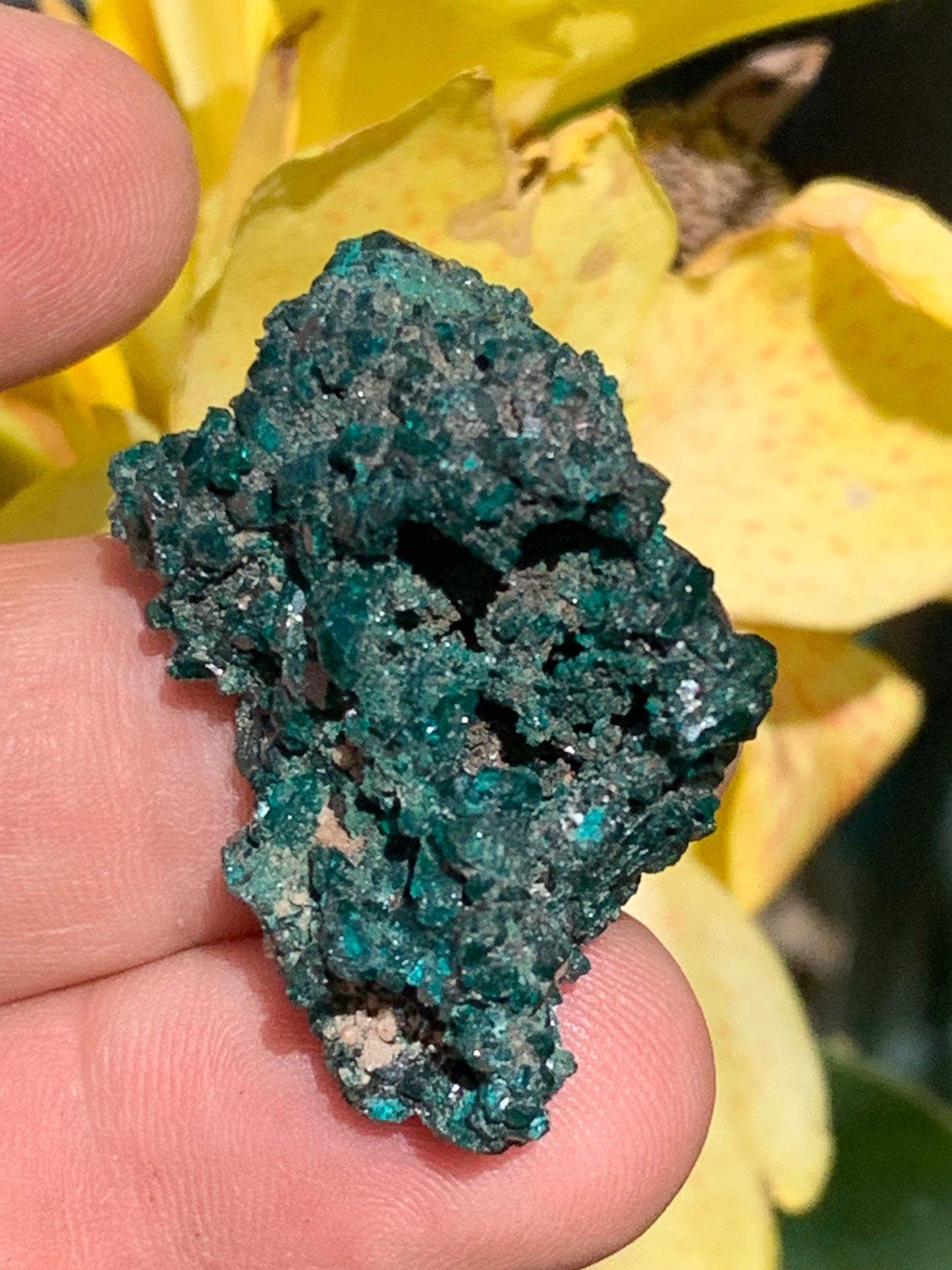 Dioptase, spécimen cristalisé de 40mm x 22 x 24 - 17,4 grammes ! Rare et puissante en minéralogie et lithothérapie !
