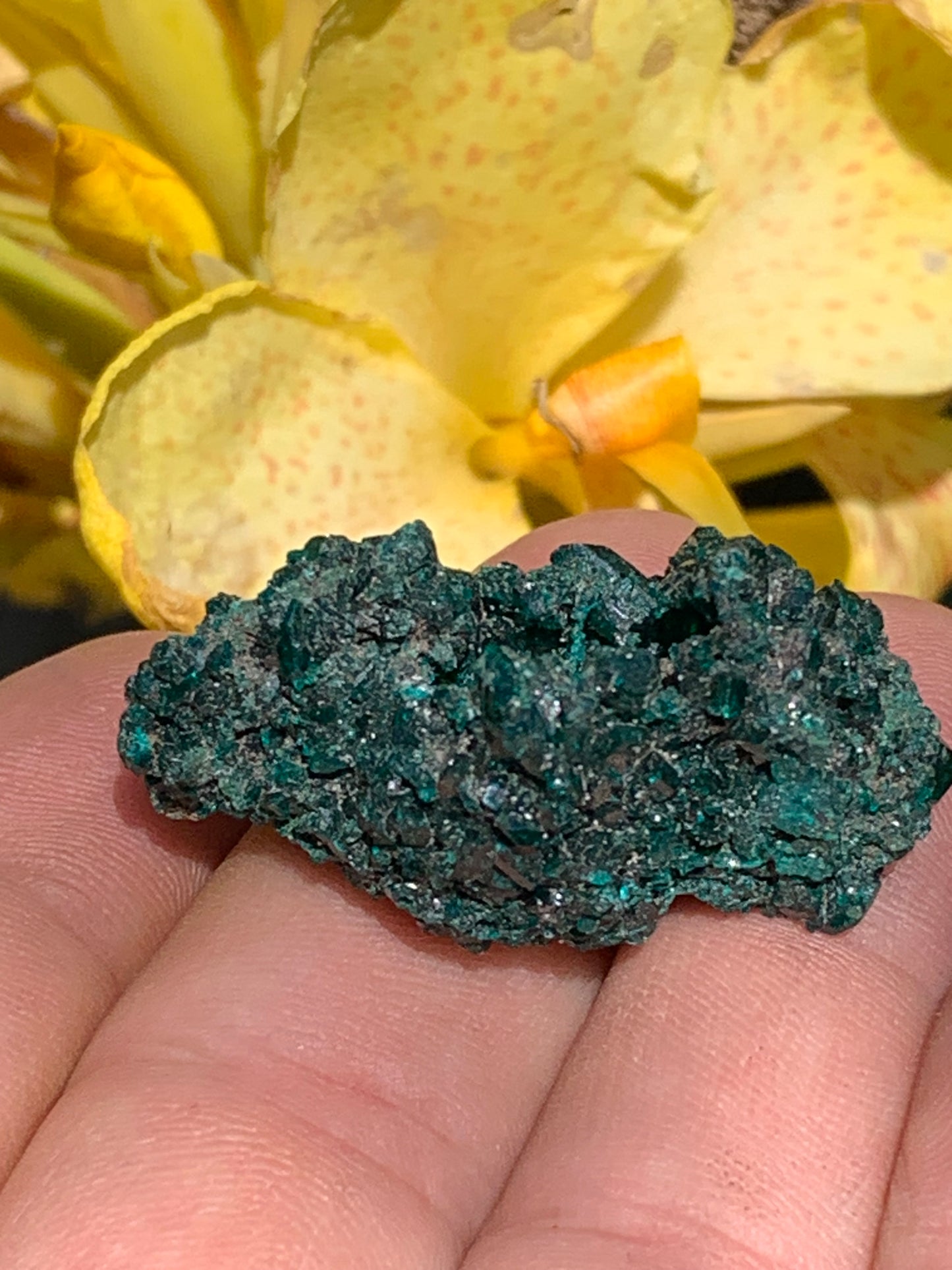 Dioptase, spécimen cristalisé de 40mm x 22 x 24 - 17,4 grammes ! Rare et puissante en minéralogie et lithothérapie !