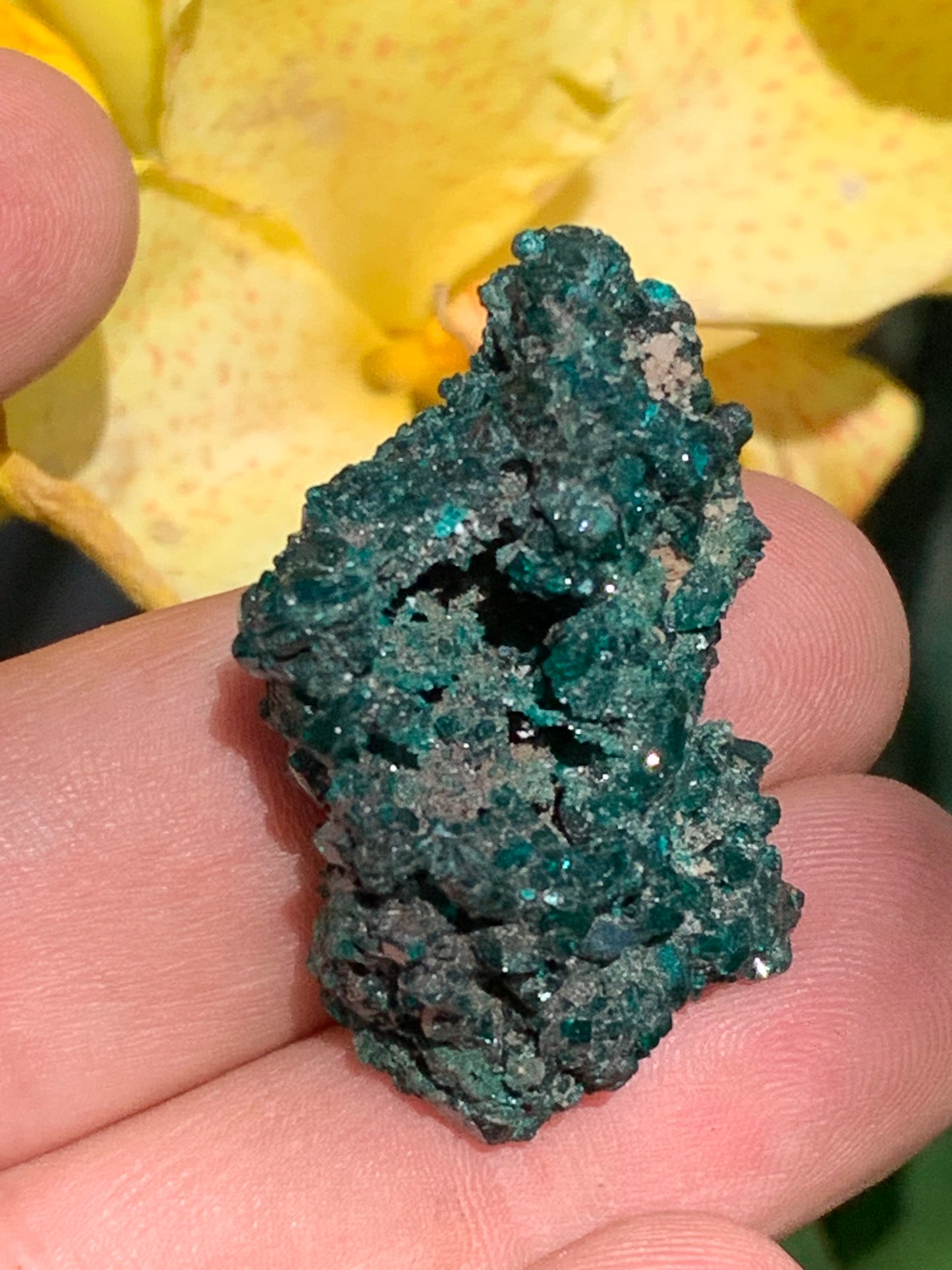 Dioptase, spécimen cristalisé de 40mm x 22 x 24 - 17,4 grammes ! Rare et puissante en minéralogie et lithothérapie !