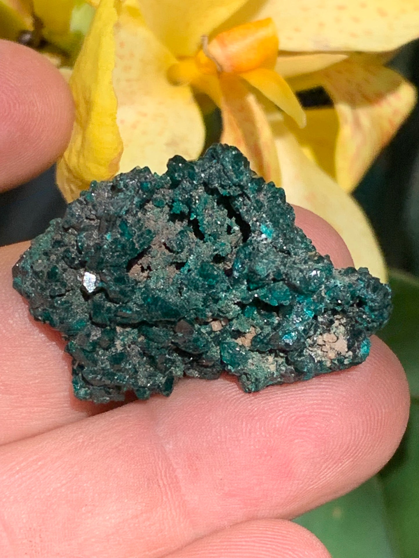 Dioptase, spécimen cristalisé de 40mm x 22 x 24 - 17,4 grammes ! Rare et puissante en minéralogie et lithothérapie !