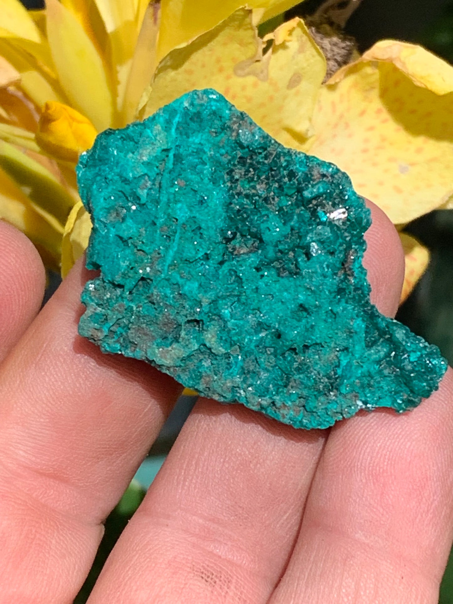 Dioptase, spécimen cristalisé de 50mm x 35 x 11 - 18,10 grammes ! Rare et puissante en minéralogie et lithothérapie !