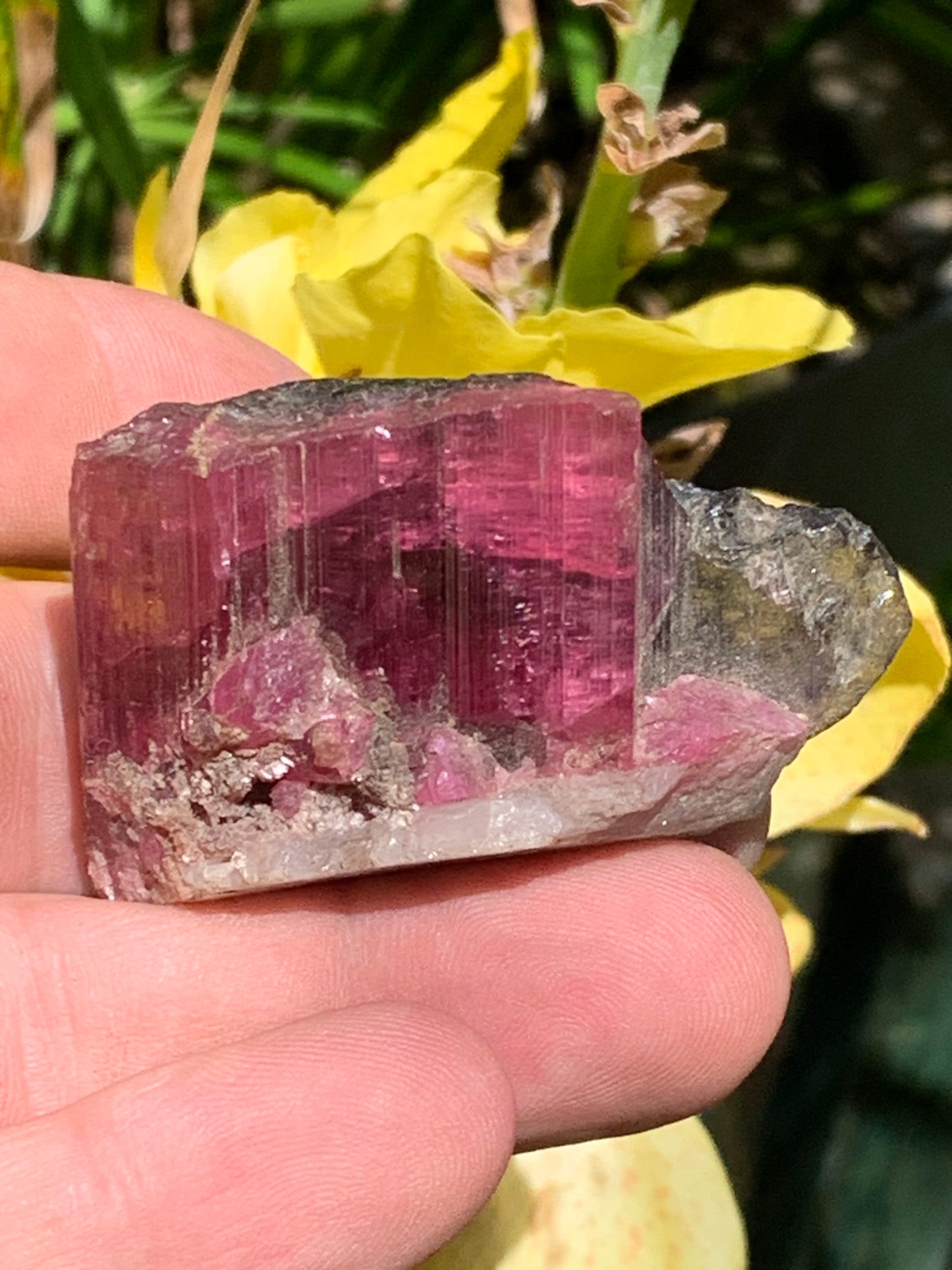 Tourmaline Rubellite, superbe spècimen naturel de 52mm x 35 x 23 - 52 grammes. Parfait en bijouterie, collection ,exposition...