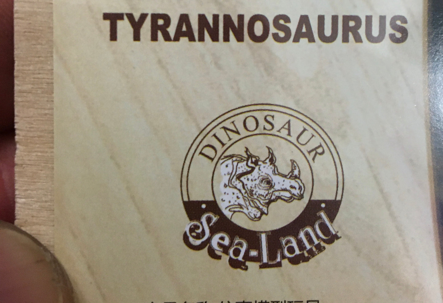 Dinosaur (Velociraptor - Tyrannosaurus - Styracosaurus), wooden model, 15 to 20 cm. Perfect for collecting, exhibitions...