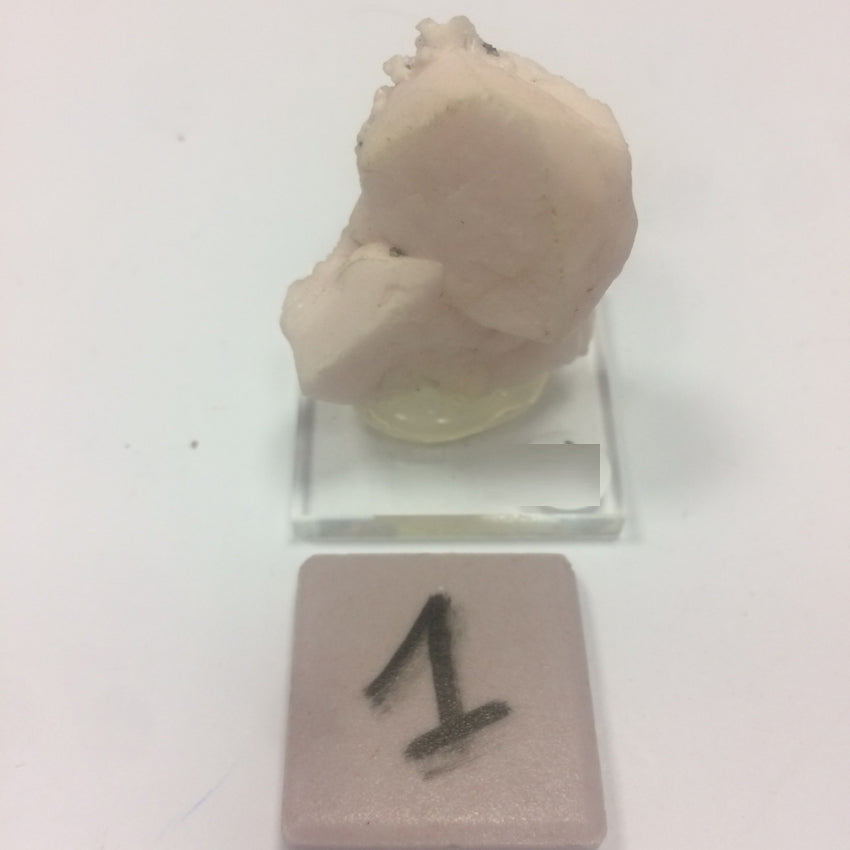 Mangano Calcite ou Calcite rose - Spécimens au choix, réagissant à l'U-V, de 40mm x 30 x 30 environ - de 15 à 30 grammes. Très belle qualité !