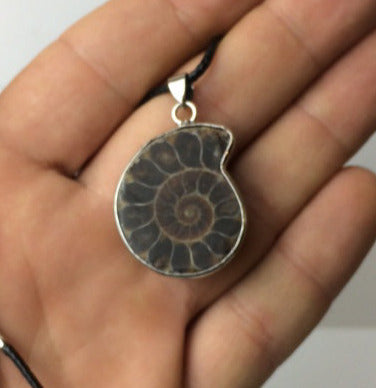 Joli pendentif en fossile d'Ammonite avec une structure de métal (laiton). Environ 3,5 centimètres de diamètre ! Vendu avec ou sans cordon noir et réglable de 60 cm !