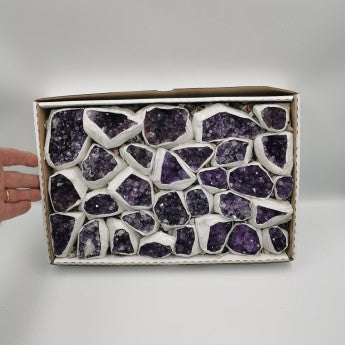 Sale by the kg/ Uruguayan Amethyst, Extra AAA quality, full box of 1.64 kilograms of druse. Perfect for exhibition, resale, collection...