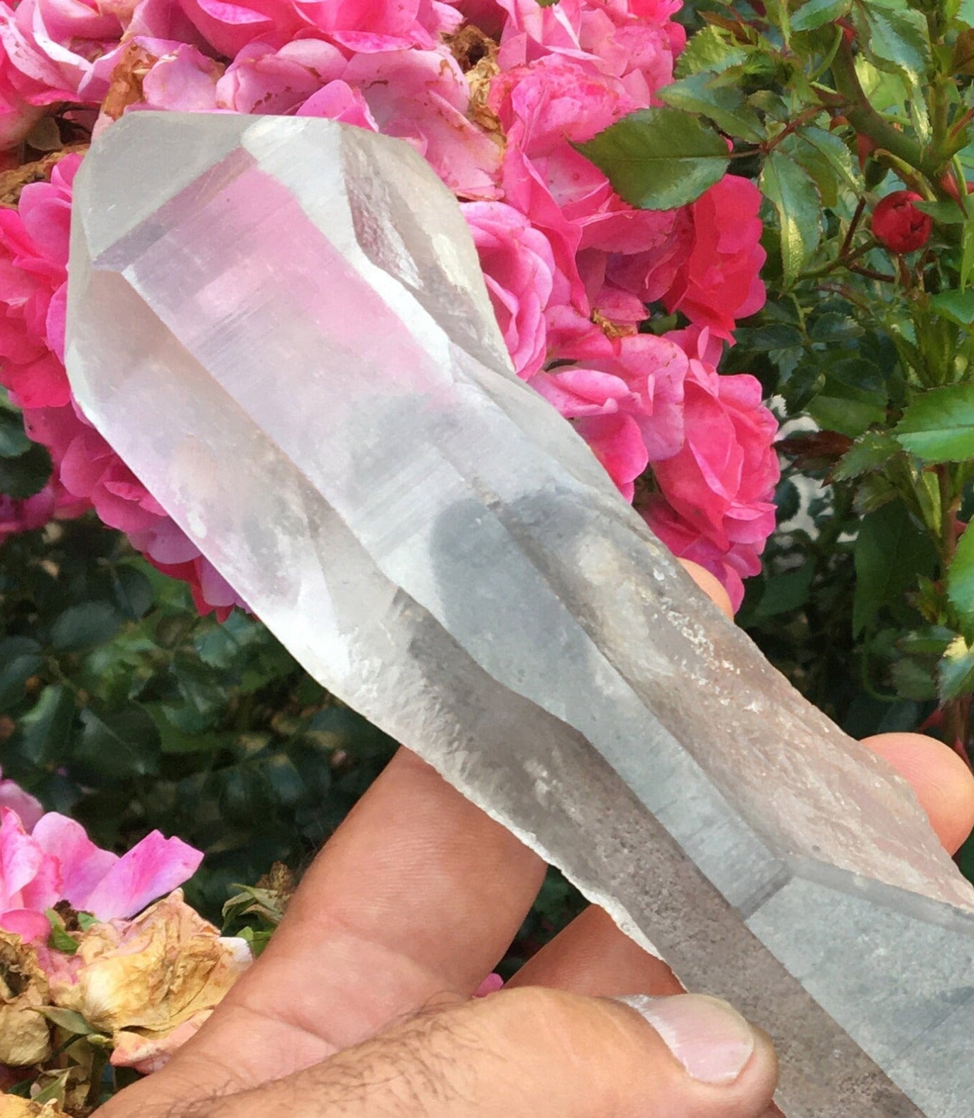 Quartz/ Cristal de roche 'Fantôme', pièce naturelle sur socle en bois, 20 cm de hauteur x 5 de diamètre - 830 grammes. Magnifique spécimen et très puissant !
