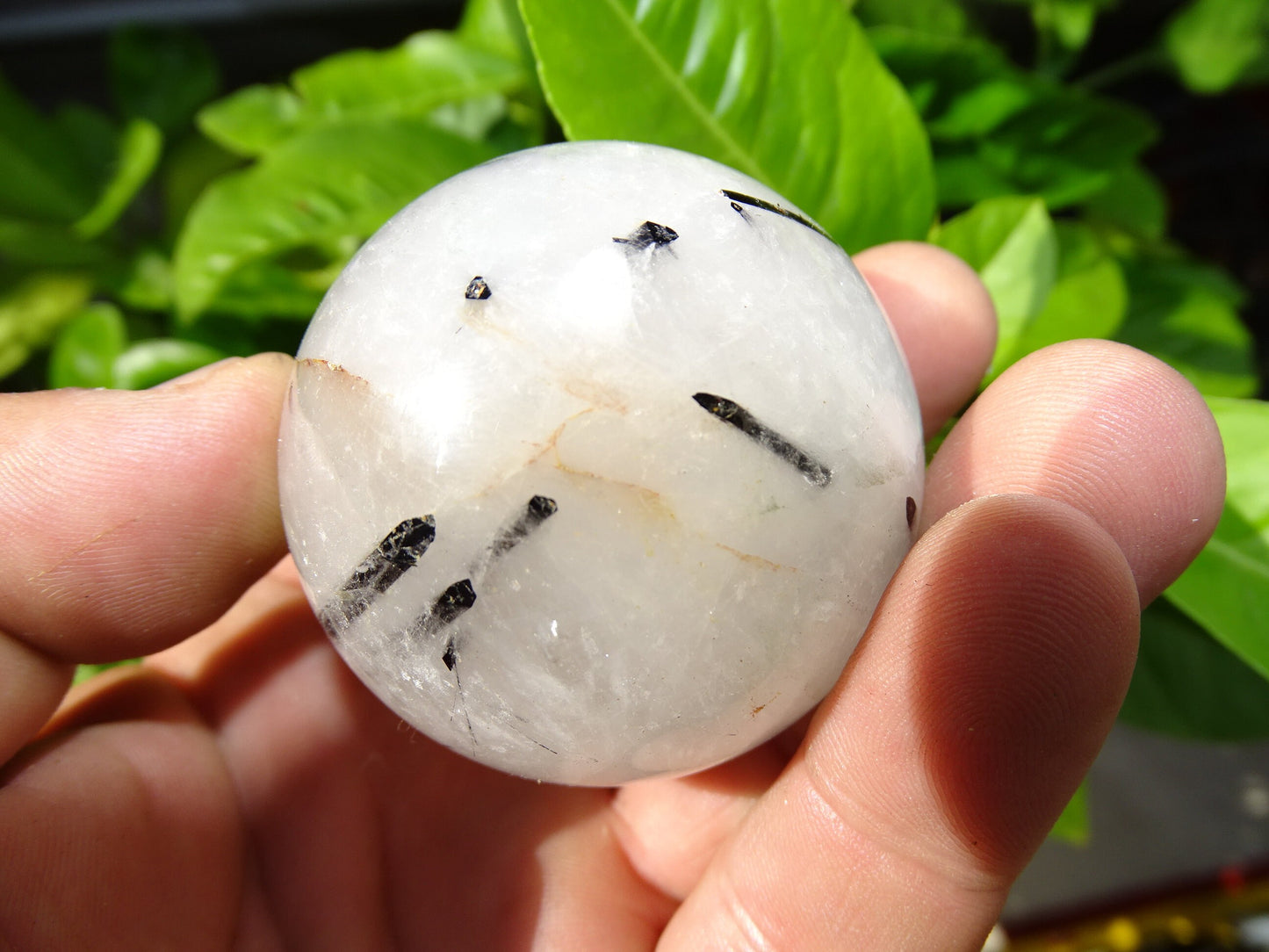 Crystal/Quartz spheres with black tourmaline inclusions, 46 and 52 millimeters - 136 and 196 grams. A surprising stone!