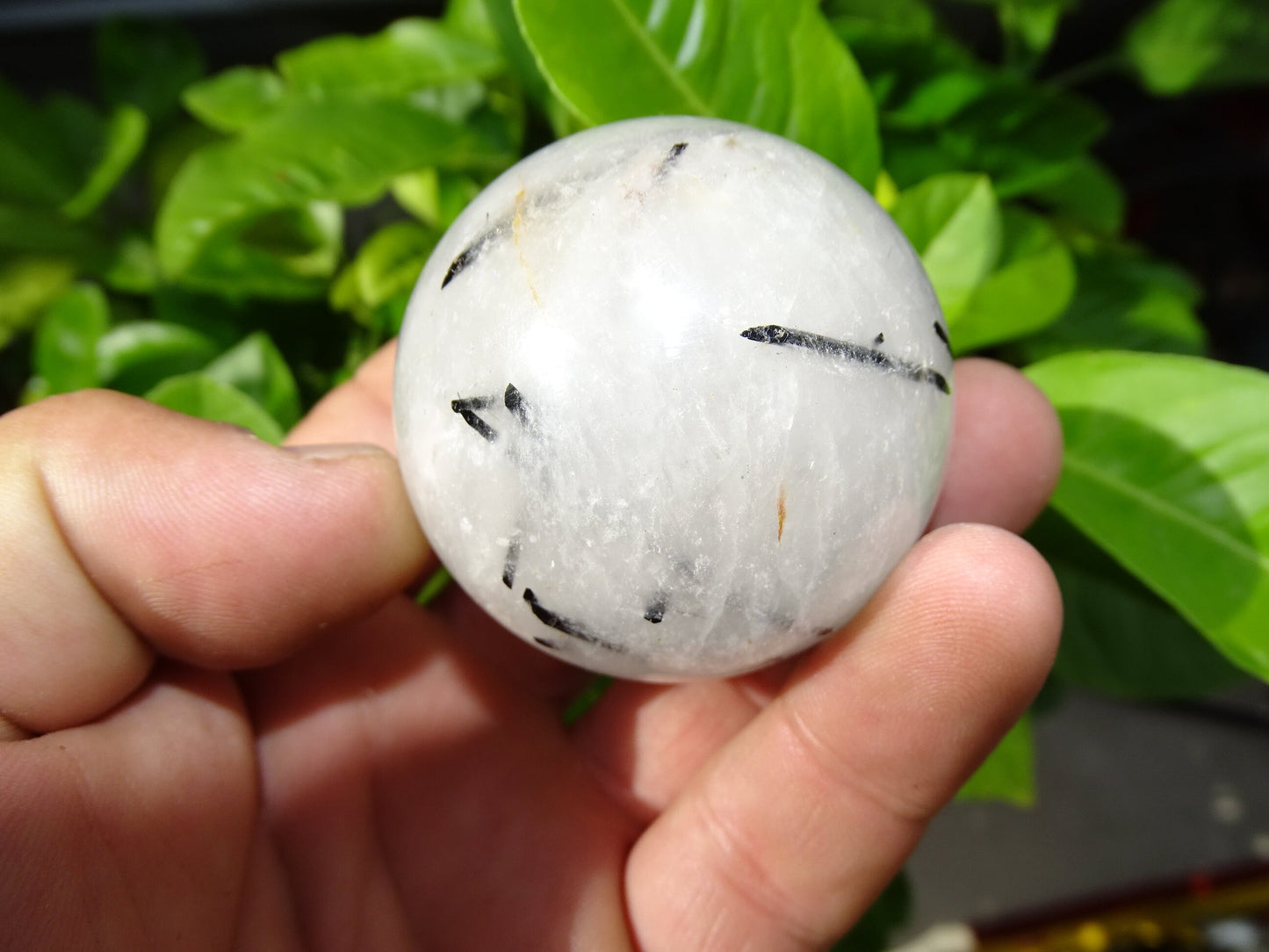 Crystal/Quartz spheres with black tourmaline inclusions, 46 and 52 millimeters - 136 and 196 grams. A surprising stone!