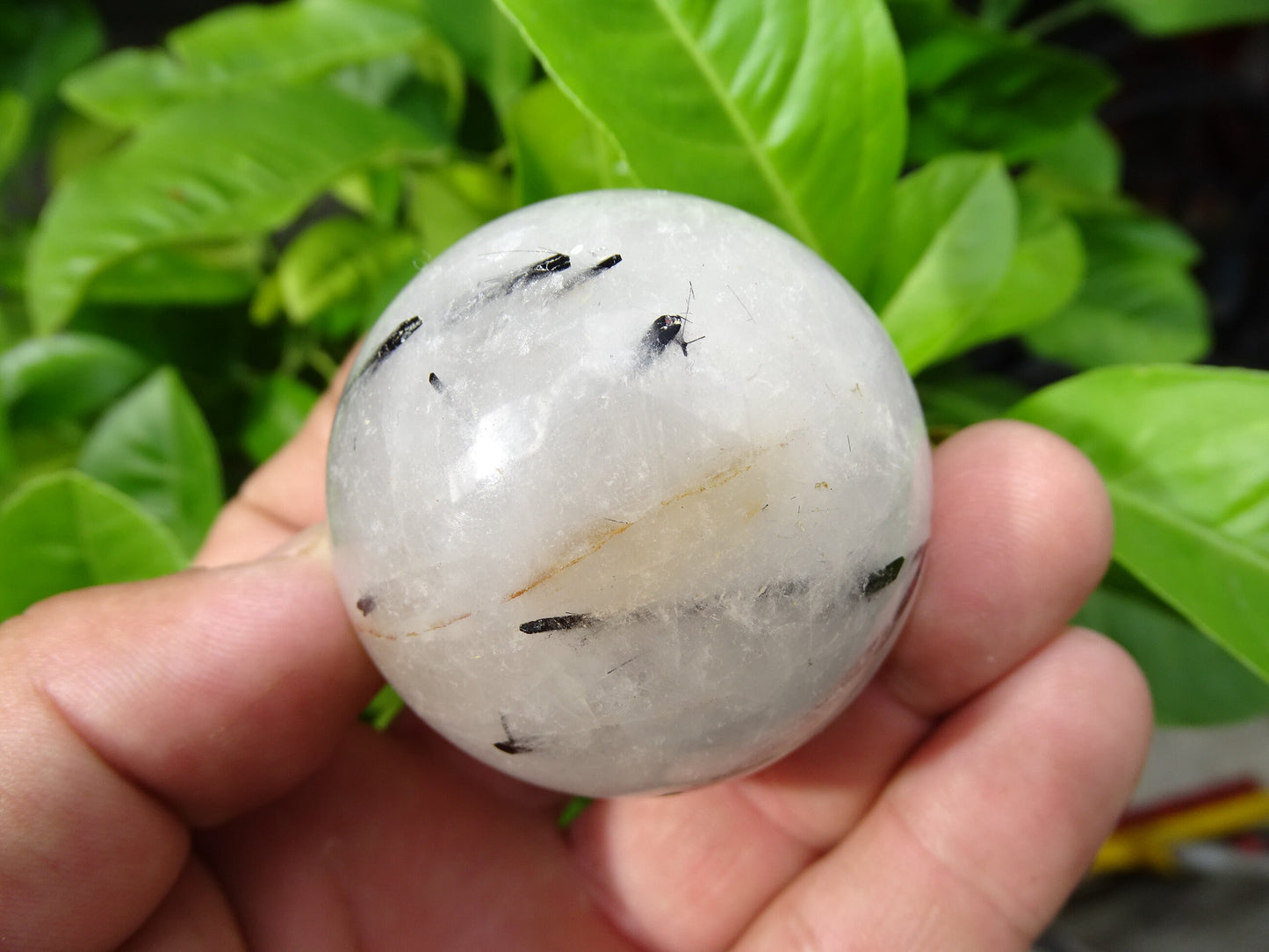 Crystal/Quartz spheres with black tourmaline inclusions, 46 and 52 millimeters - 136 and 196 grams. A surprising stone!