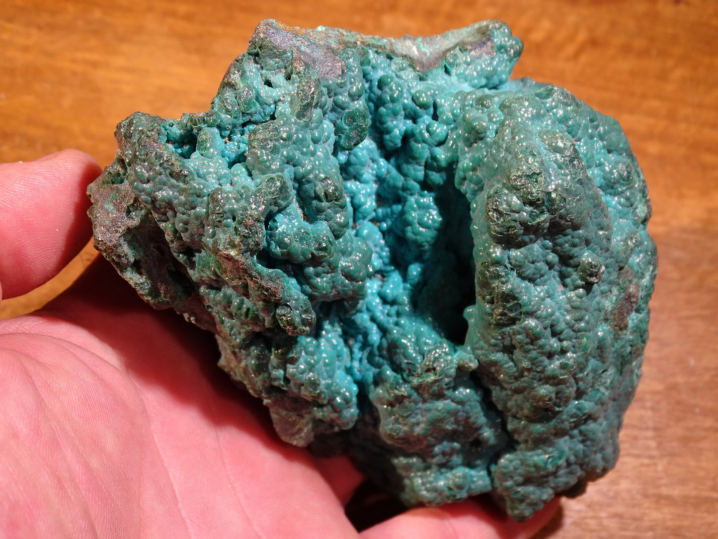 Chrysocolle, superbe spécimen brut de 110 x 90 x 80 - 245 grammes !