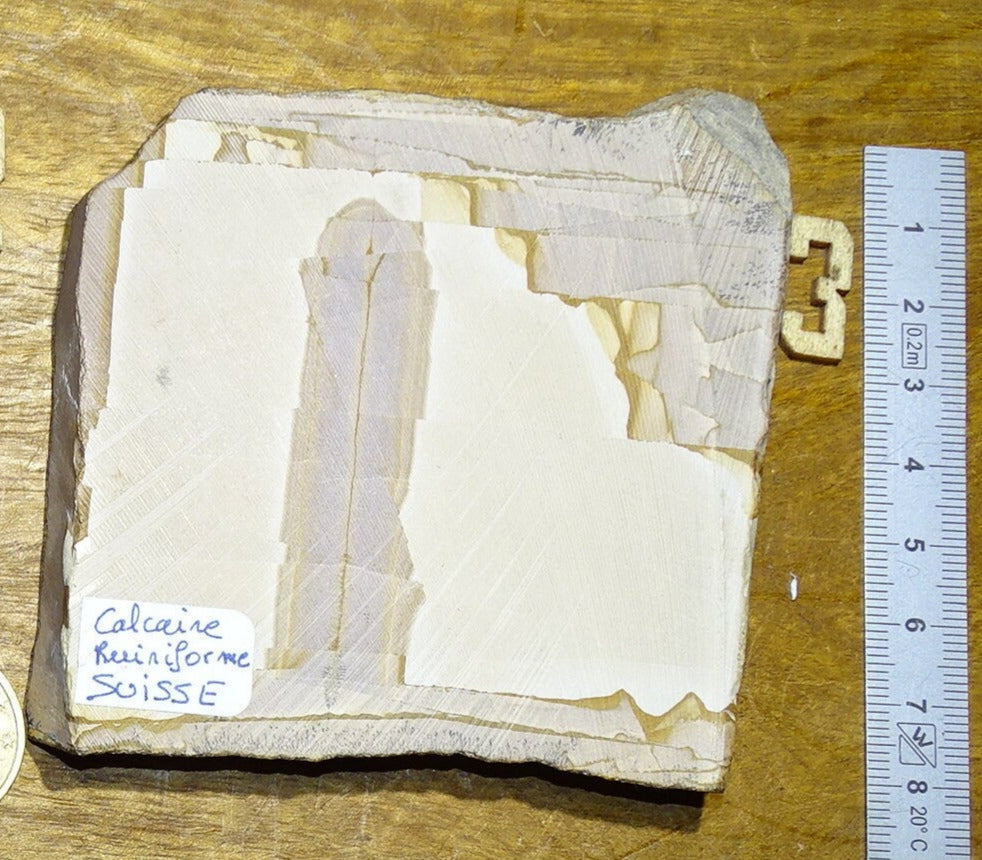 Jaspe/ Calcaire Ruiniforme de Suisse - Tranche sciée de 60 grammes - de 90 x 90 x 15mm !