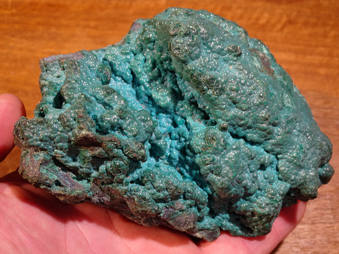 Chrysocolle, superbe spécimen brut de 110 x 90 x 80 - 245 grammes !