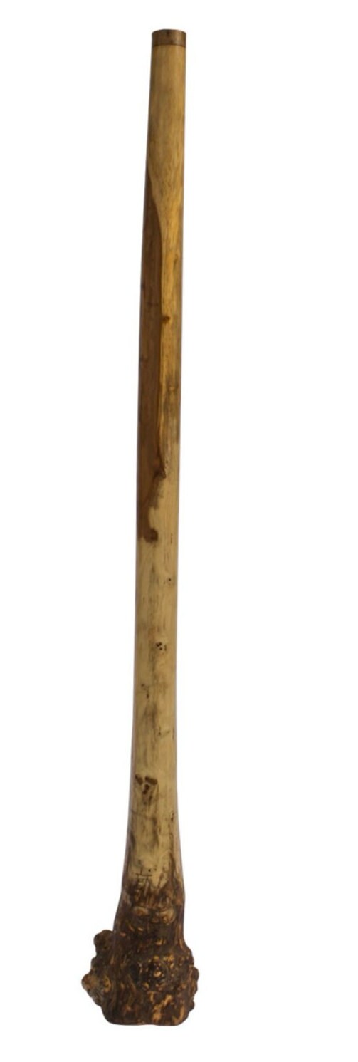 Didgeridoo en bois et base en racine d'eucalyptus de 1,58 m - 2,80 kgs. Des sonorités dans les mediums basses incroyables !