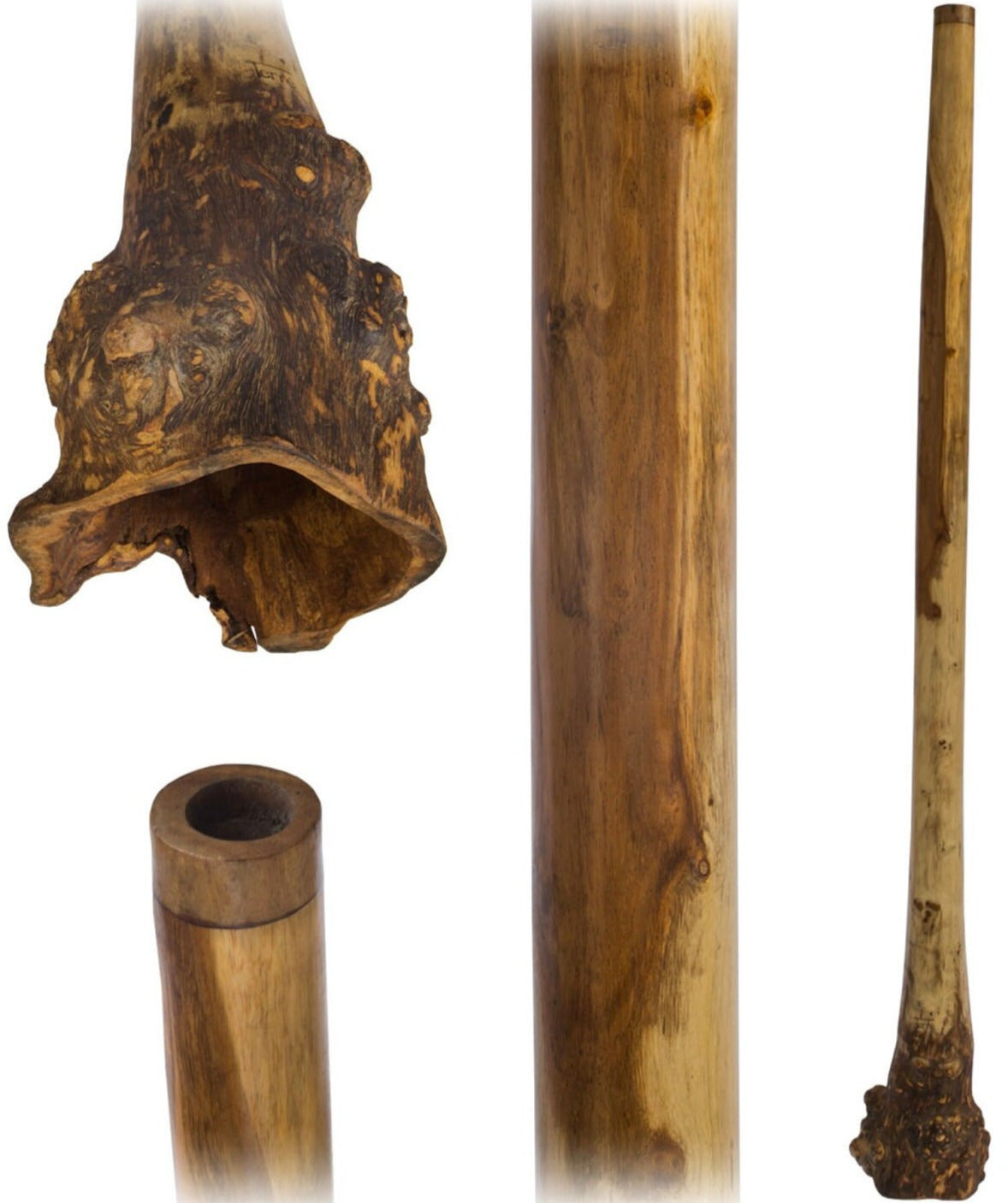 Didgeridoo en bois et base en racine d'eucalyptus de 1,58 m - 2,80 kgs. Des sonorités dans les mediums basses incroyables !