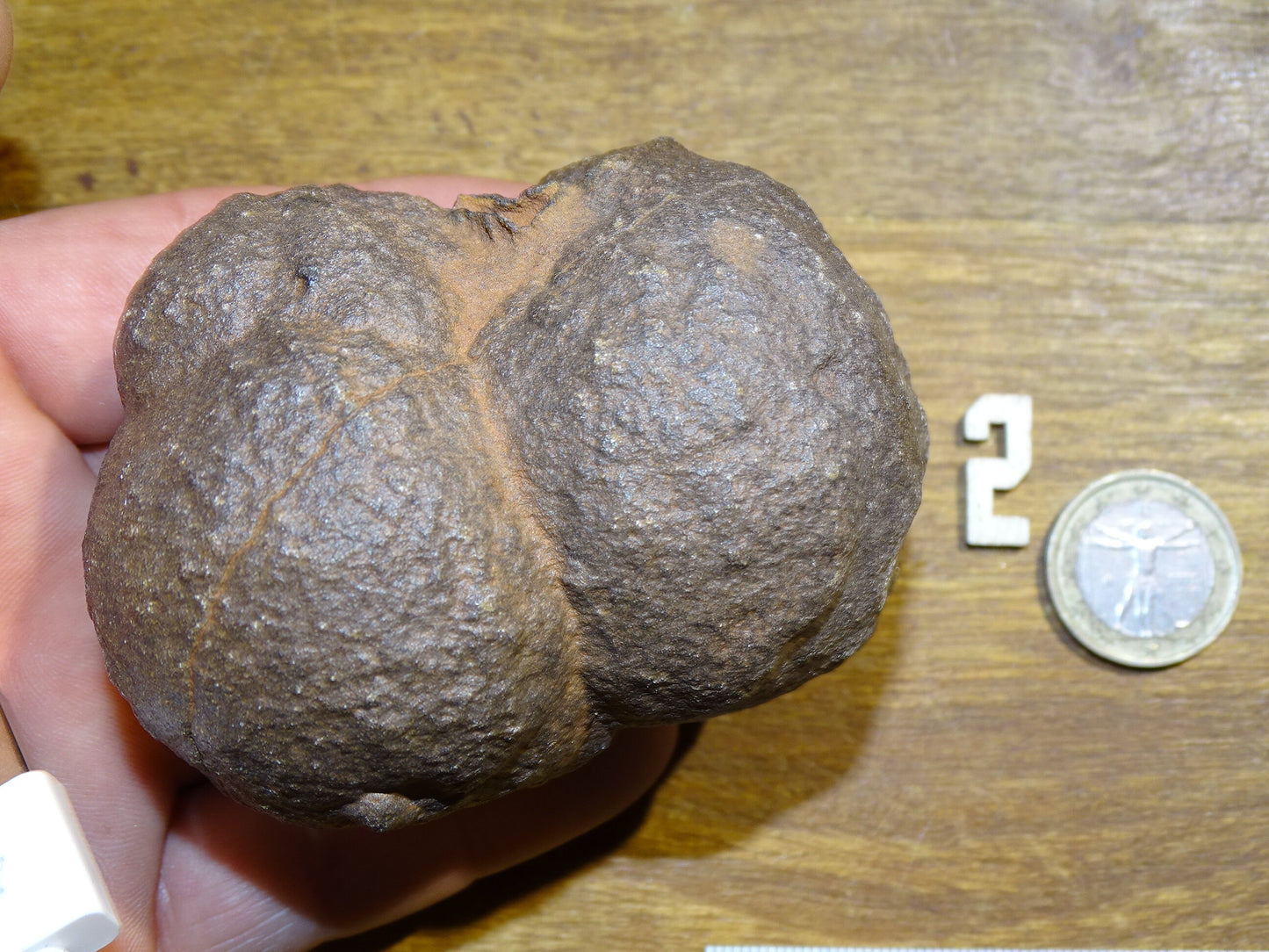 Moqui Balls/ Pierres des Chamanes - Pièces naturelles au choix de 70 à 130 grammes - de 40 à 70mm ! Superbe et pièces rares !