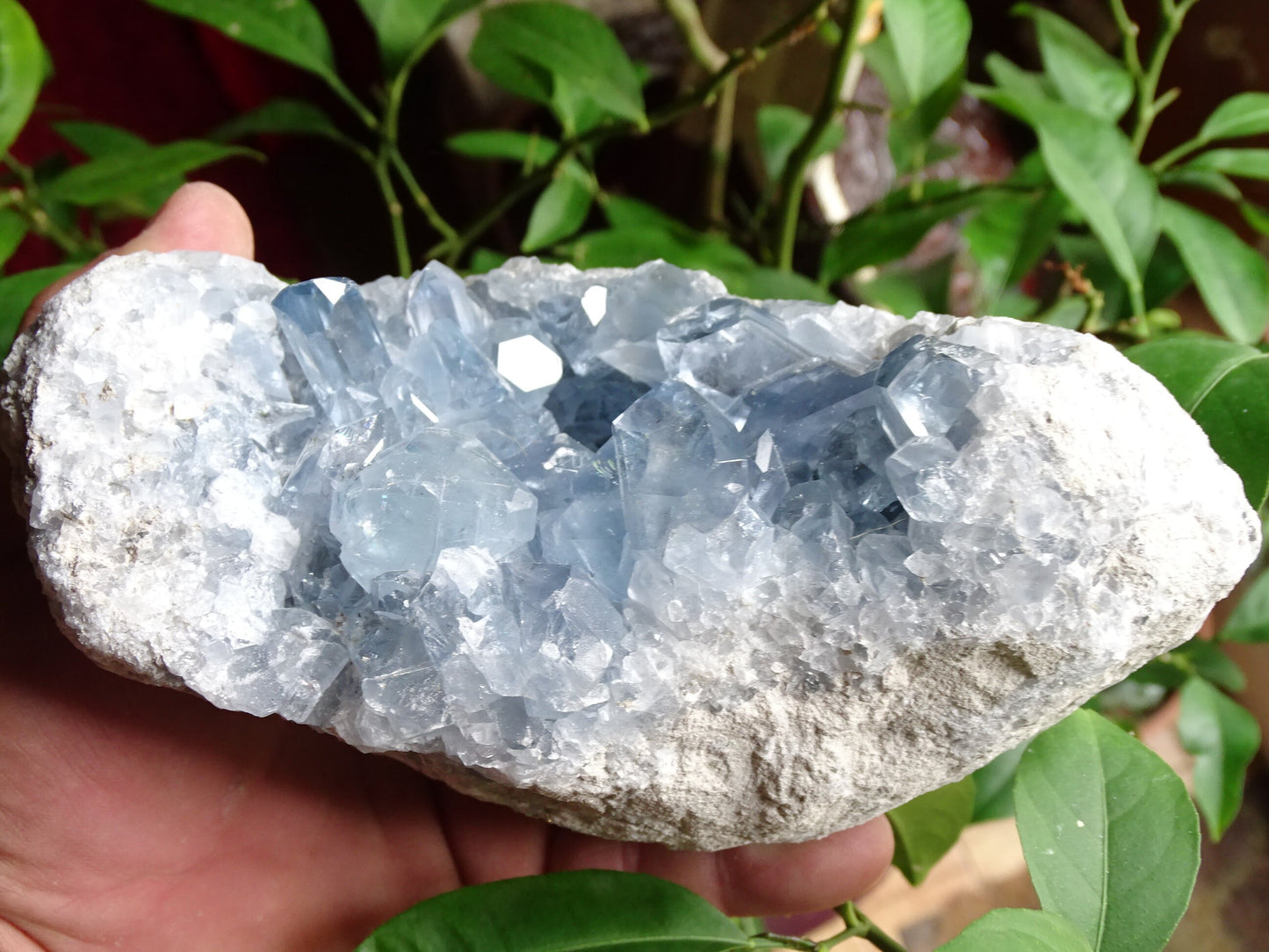 Célestite/ Célestine ou Quartz Bleu, géode de 2,274 kilogrammes, 17 x 10,3 x 9,5 centimètres. Superbe qualité, parfait pour vos collections, expositions...