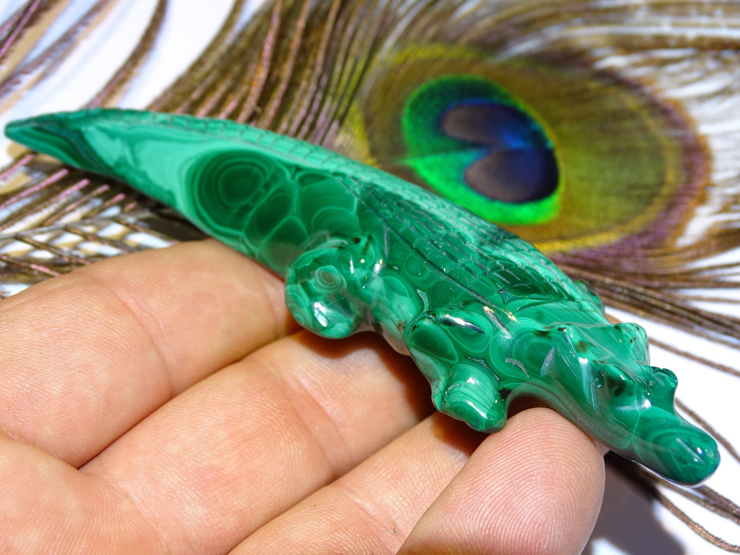 Malachite, superbe crocodile de 83,7 grammes - 122mm x 32 x 17. Parfait pour une collection, exposition, décoration ! !