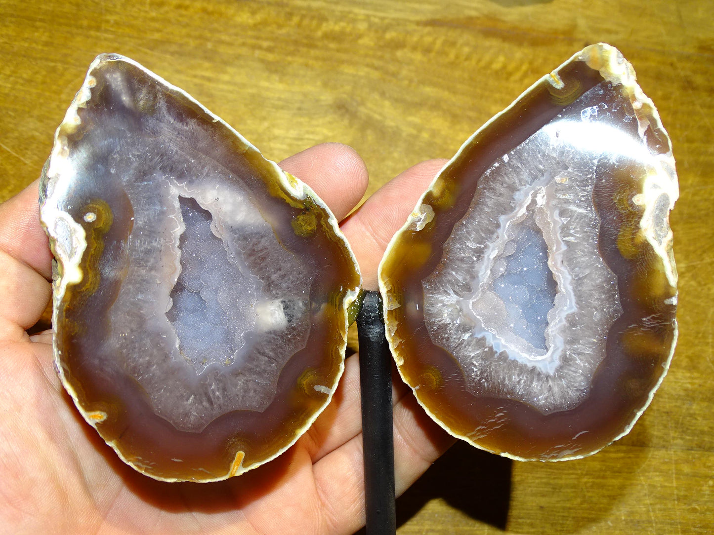 Agate, géode 'papillon' en 2 parties (sur socle dédié) de 150x 95 x 38 millimètres - 731 milligrammes. Superbe qualité, incroyables effets positifs pour vos collections, expositions...