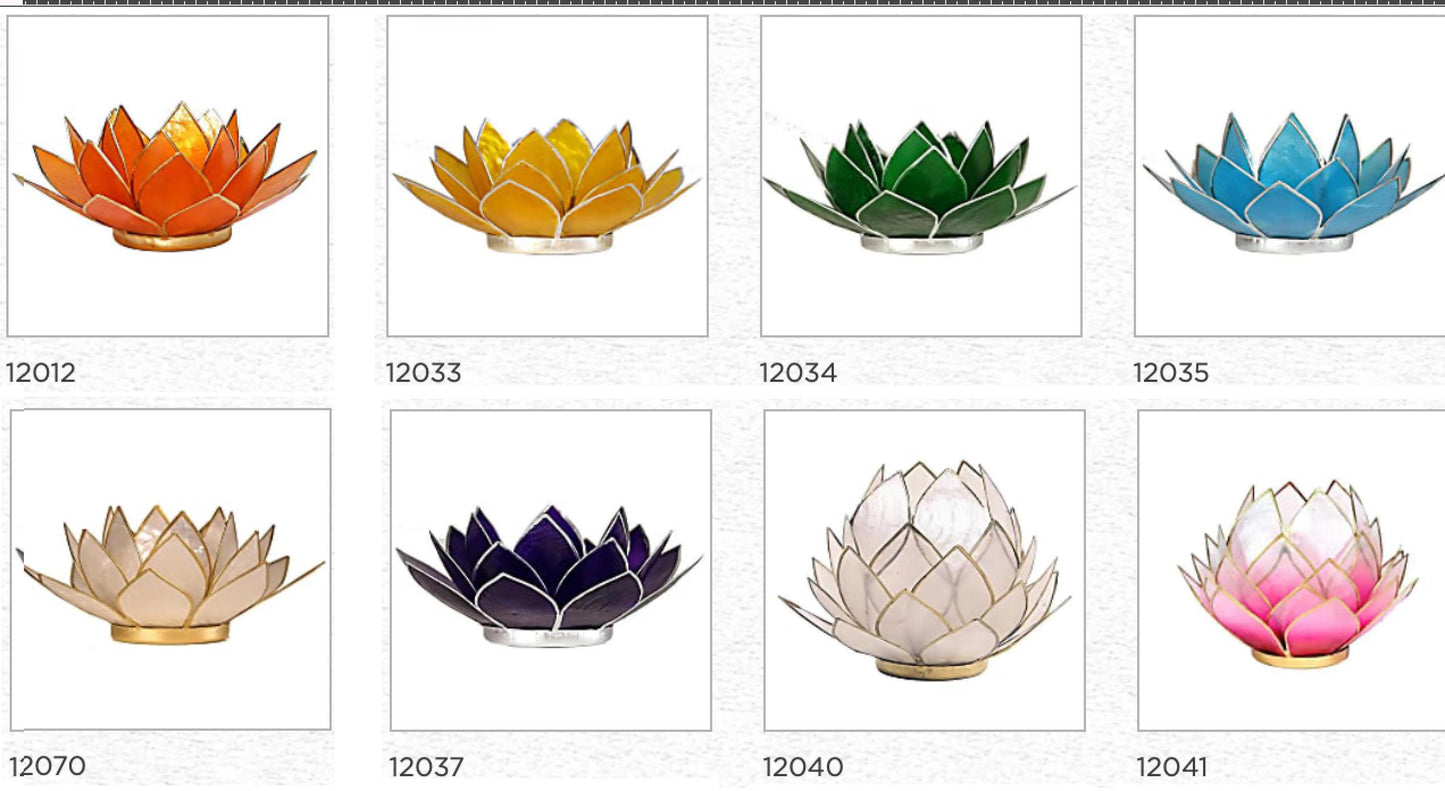Selection of 'Lotus' candle holders made of capiz shell, 13.5 centimeters x 5.5 centimeters high. Magnificent colors, incredible effects, perfect!