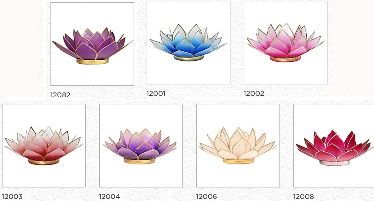 Selection of 'Lotus' candle holders made of capiz shell, 13.5 centimeters x 5.5 centimeters high. Magnificent colors, incredible effects, perfect!
