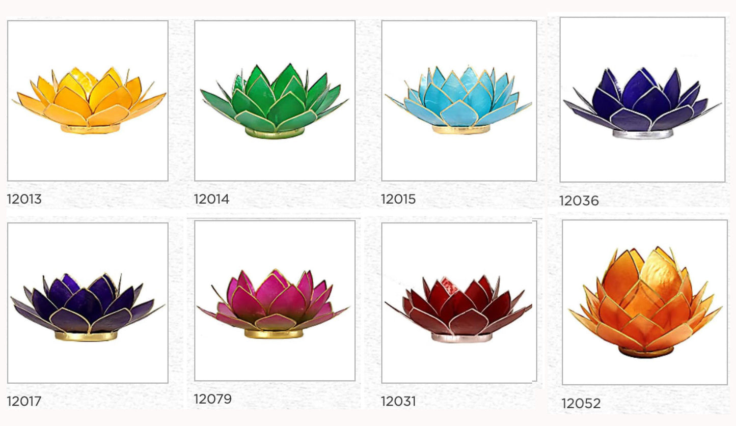 Selection of 'Lotus' candle holders made of capiz shell, 13.5 centimeters x 5.5 centimeters high. Magnificent colors, incredible effects, perfect!