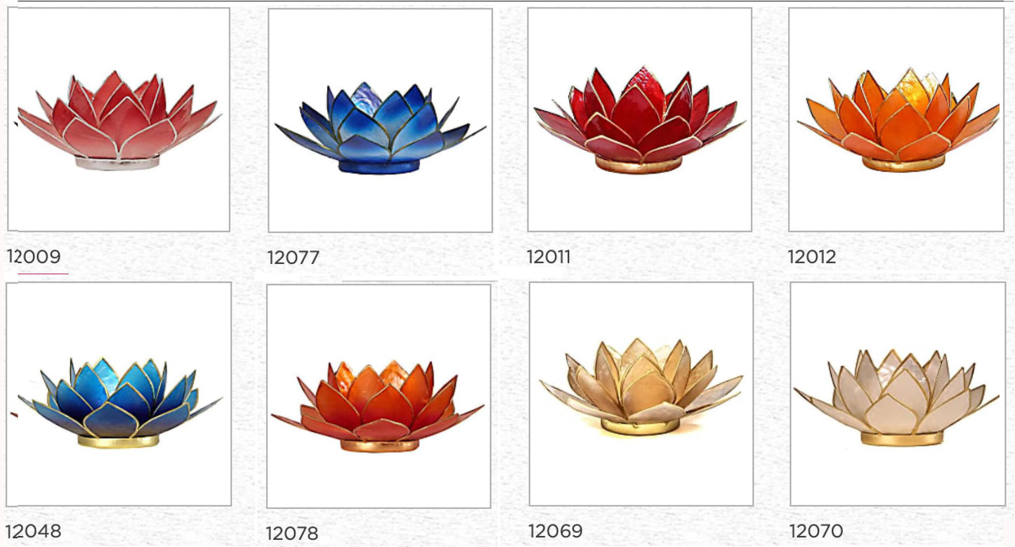 Selection of 'Lotus' candle holders made of capiz shell, 13.5 centimeters x 5.5 centimeters high. Magnificent colors, incredible effects, perfect!