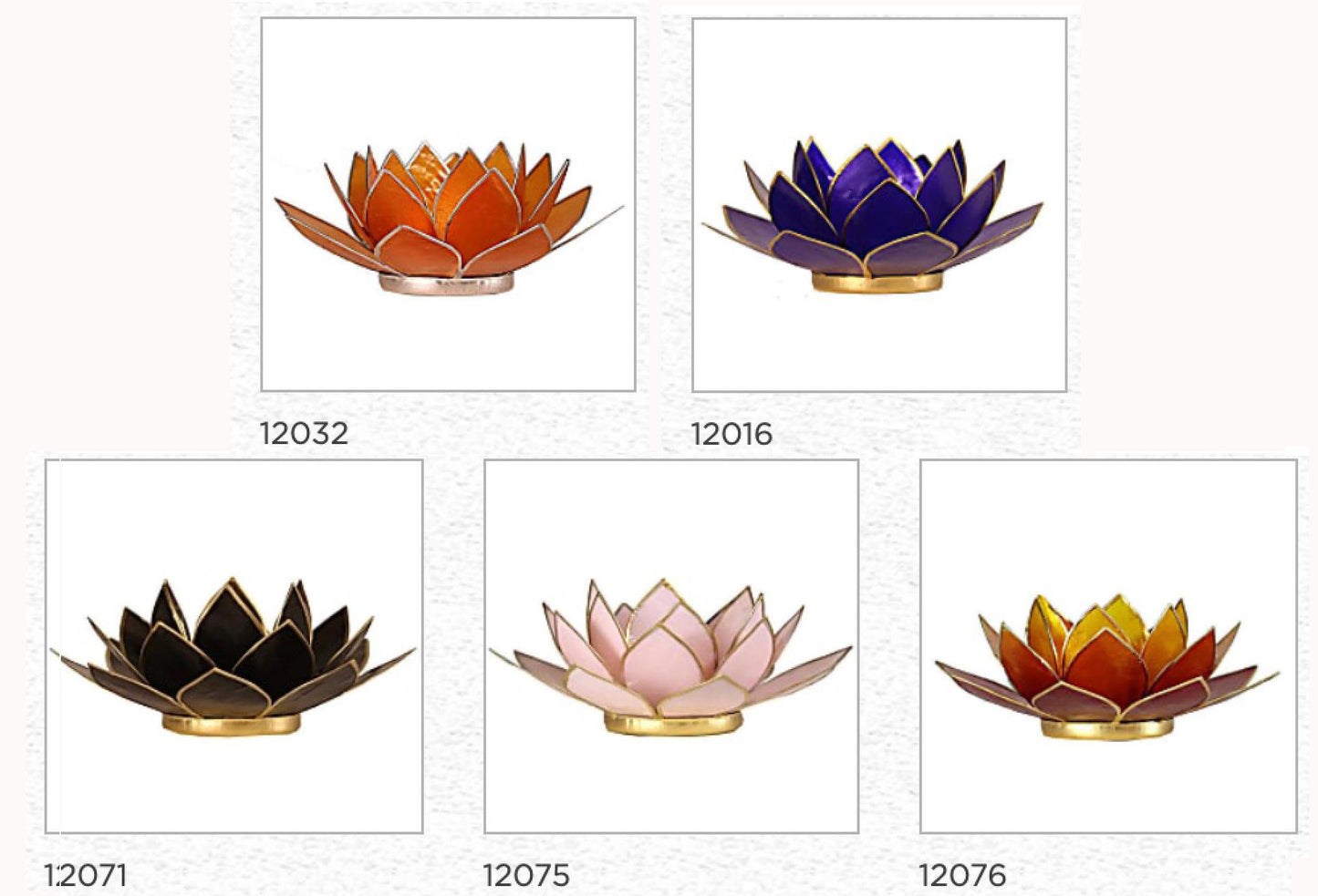Selection of 'Lotus' candle holders made of capiz shell, 13.5 centimeters x 5.5 centimeters high. Magnificent colors, incredible effects, perfect!