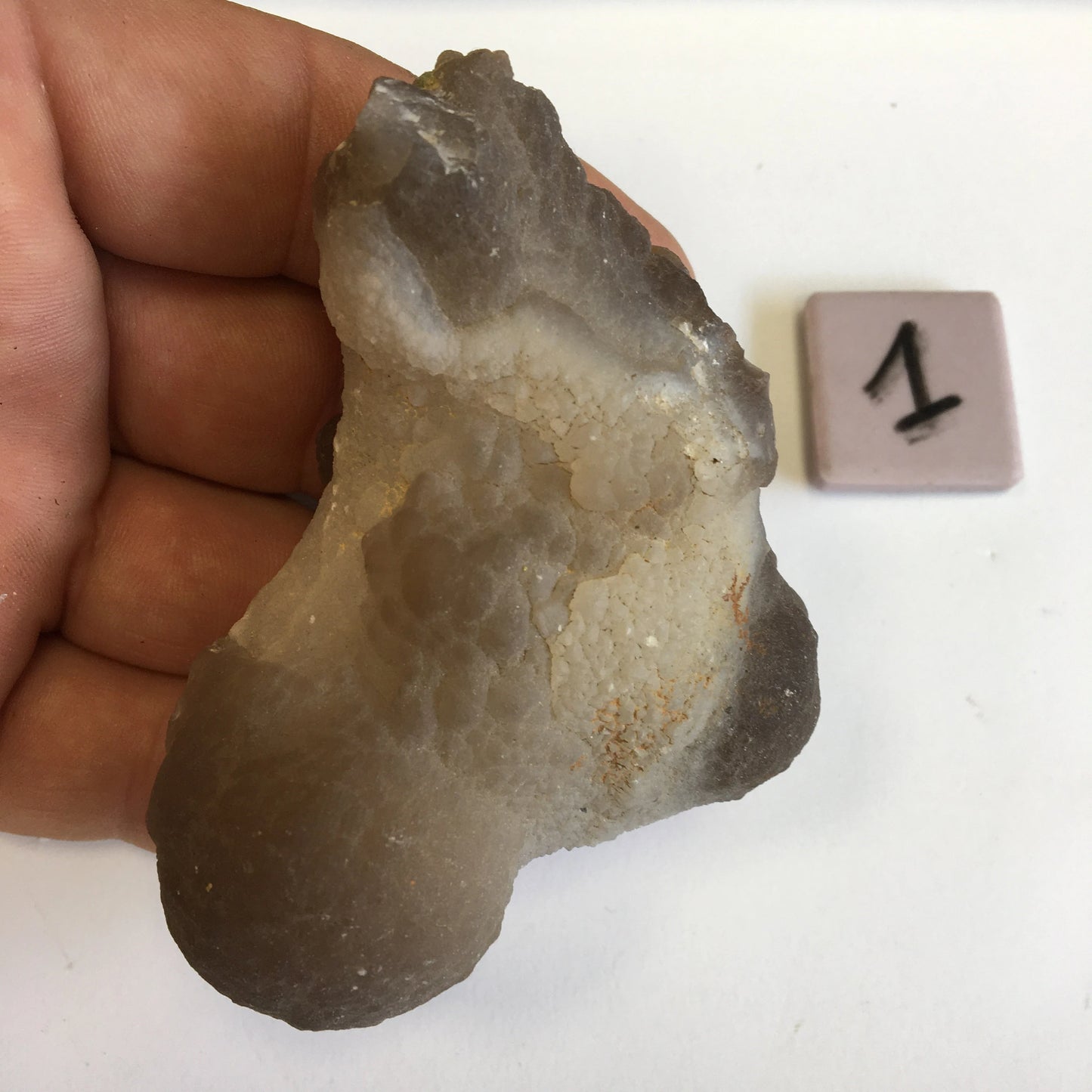 Agate Calcédoine 'Chihuahua', superbes pièces de 70 x 70 x 50 mm en moyenne - 50 grammes environ. Des formes uniques et rare !