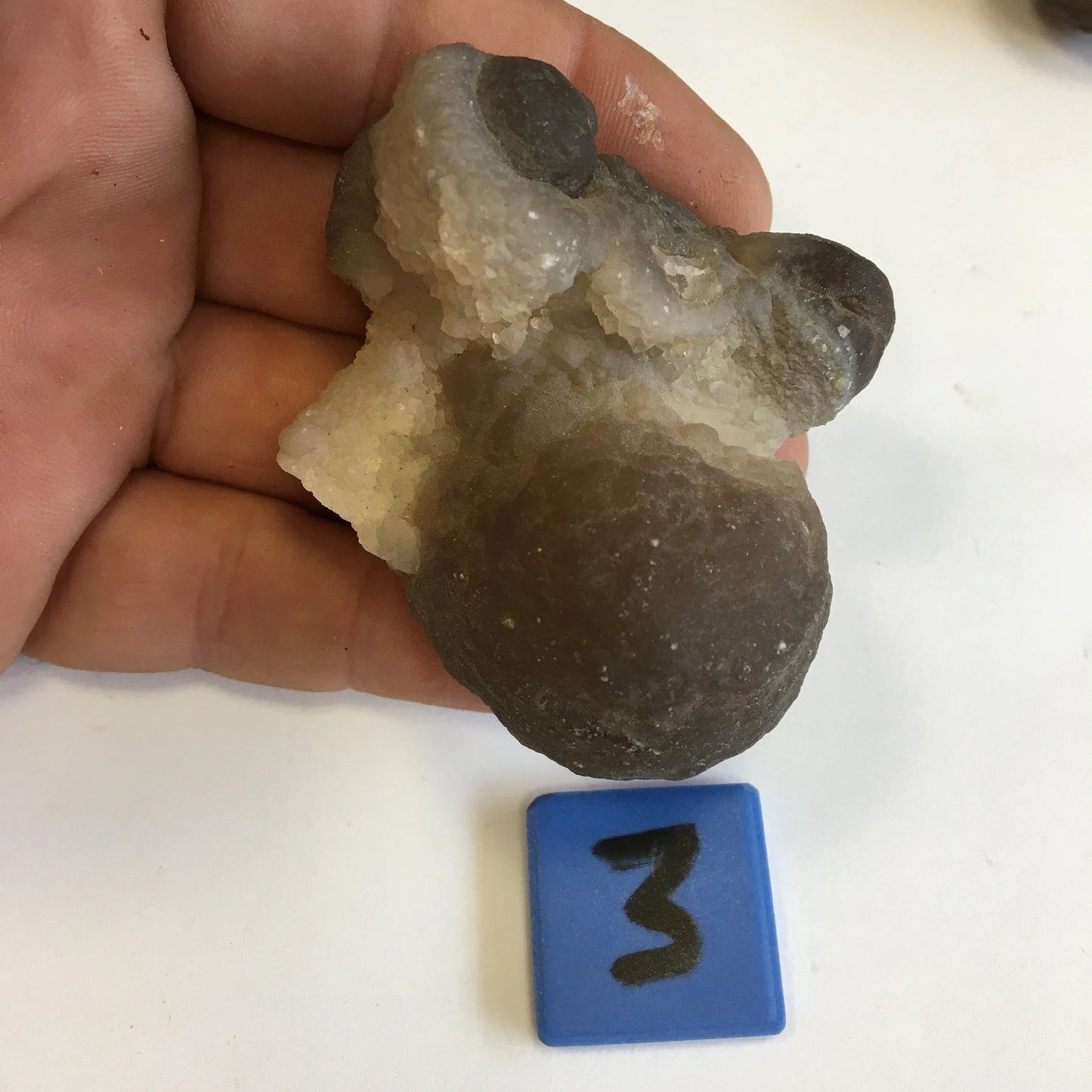 Agate Calcédoine 'Chihuahua', superbes pièces de 70 x 70 x 50 mm en moyenne - 50 grammes environ. Des formes uniques et rare !