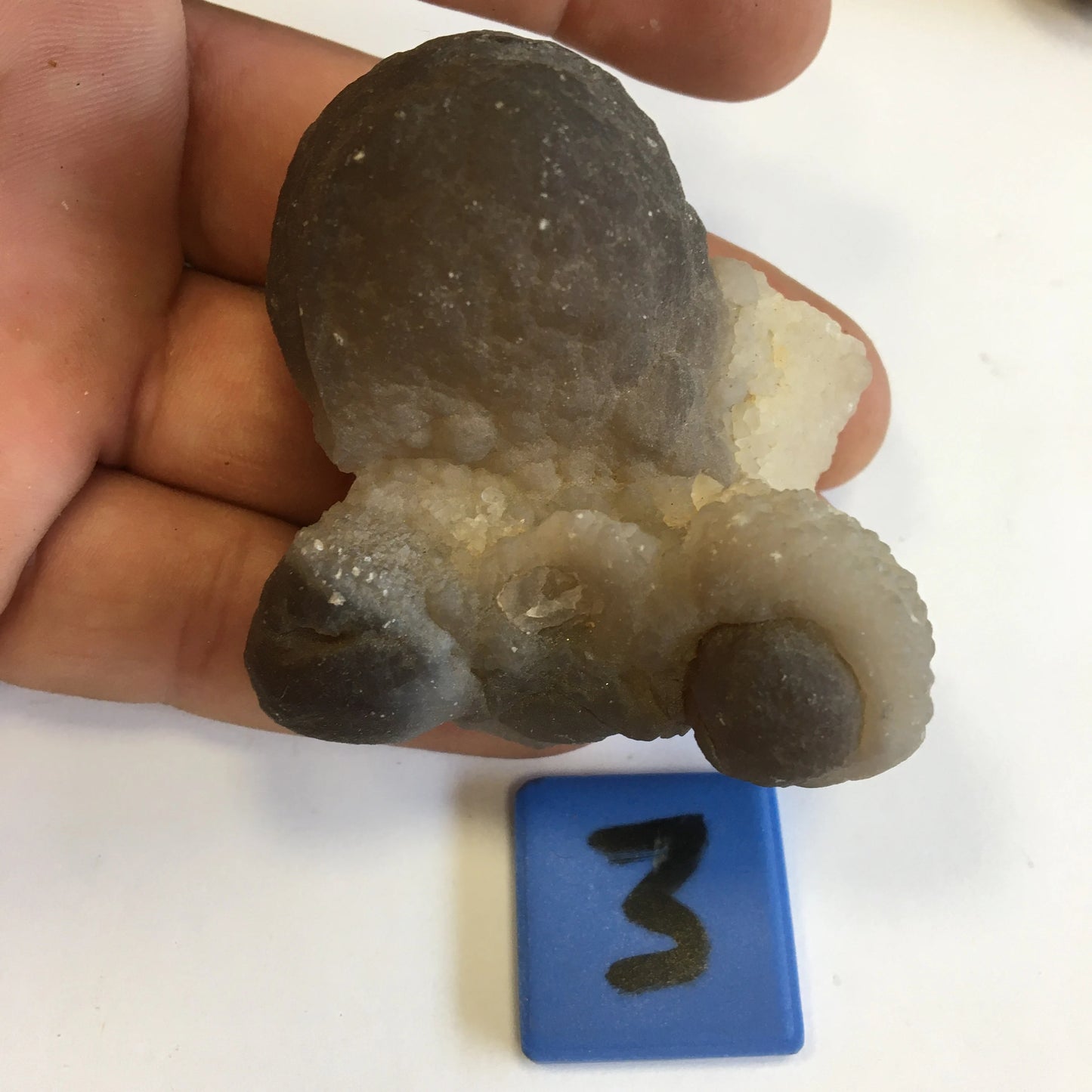 Agate Calcédoine 'Chihuahua', superbes pièces de 70 x 70 x 50 mm en moyenne - 50 grammes environ. Des formes uniques et rare !