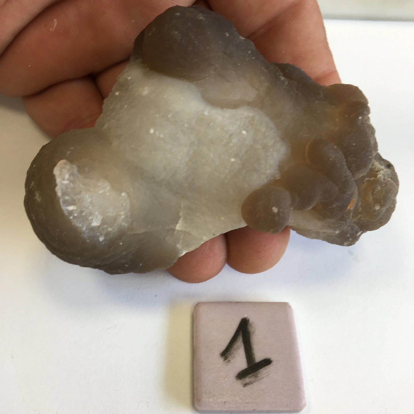 Agate Calcédoine 'Chihuahua', superbes pièces de 70 x 70 x 50 mm en moyenne - 50 grammes environ. Des formes uniques et rare !