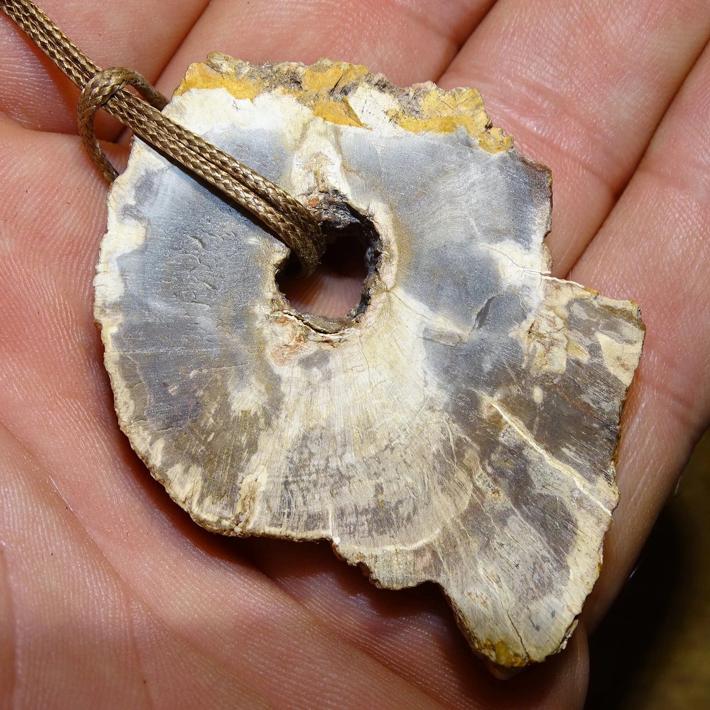 Bois fossilisé/ pétrifié, pendentif de 58x42x8 millimètres, vendu avec cordon coulissant (réglable) marron de 40 à 70 centimètres !