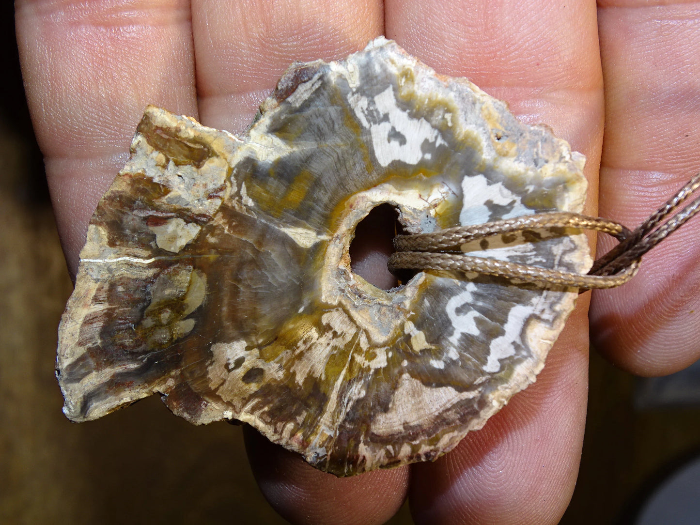 Bois fossilisé/ pétrifié, pendentif de 58x42x8 millimètres, vendu avec cordon coulissant (réglable) marron de 40 à 70 centimètres !