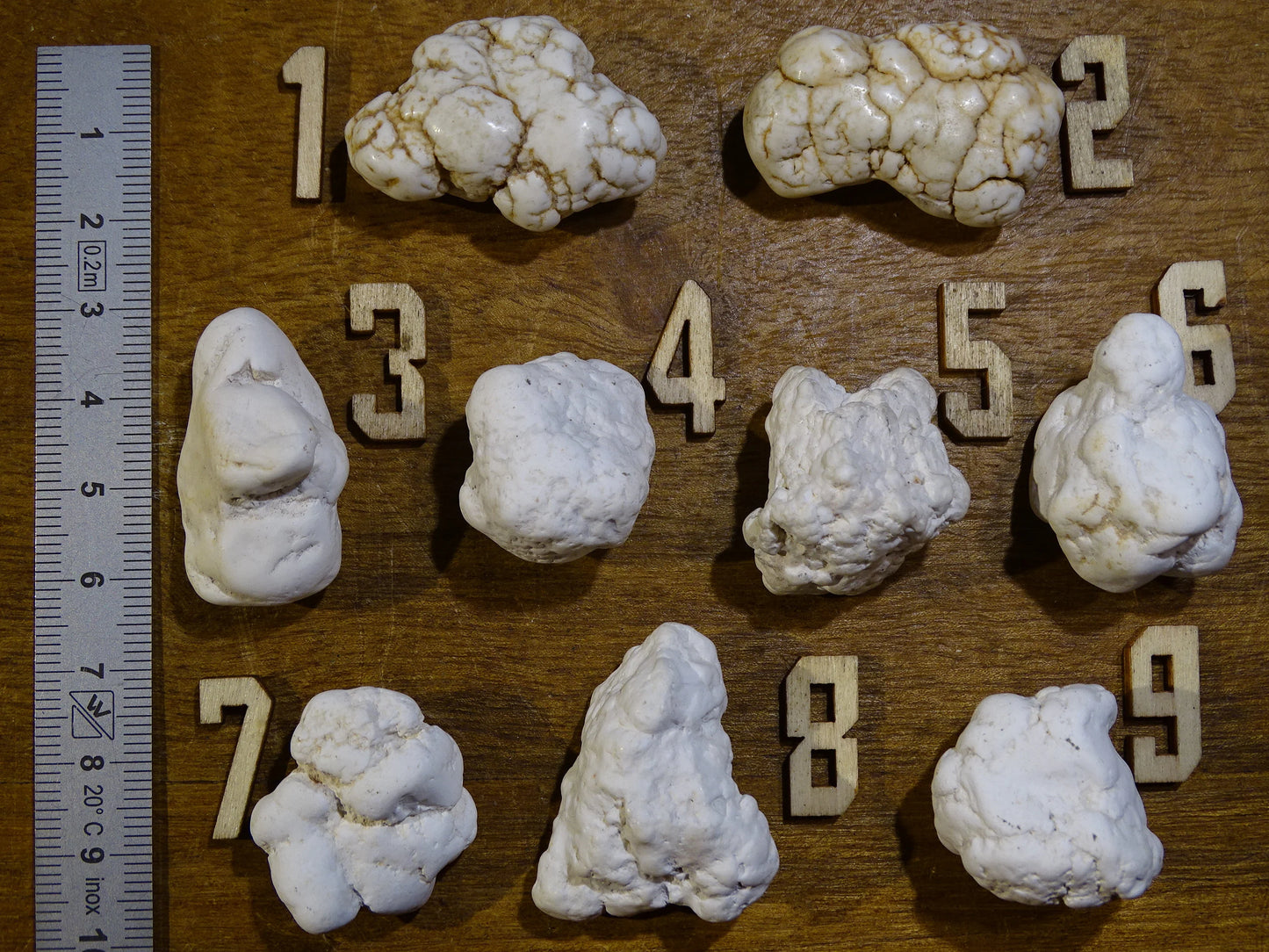 Howlite blanche - Spécimens bruts au choix de 30 à 20 x 15mm - 10 à 15 grammes !