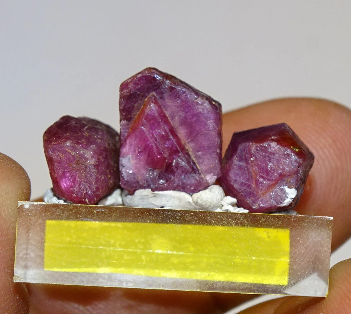 Rubis 'Trapiche', lot de 3 pièces de 10mm x7 x5 environ - 7,9 grammes/ 39,5 carats. Parfait en bijouterie, collection ,exposition...