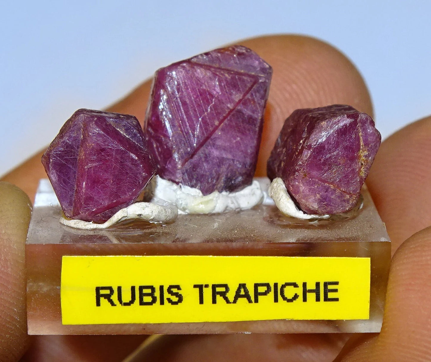 Rubis 'Trapiche', lot de 3 pièces de 10mm x7 x5 environ - 7,9 grammes/ 39,5 carats. Parfait en bijouterie, collection ,exposition...