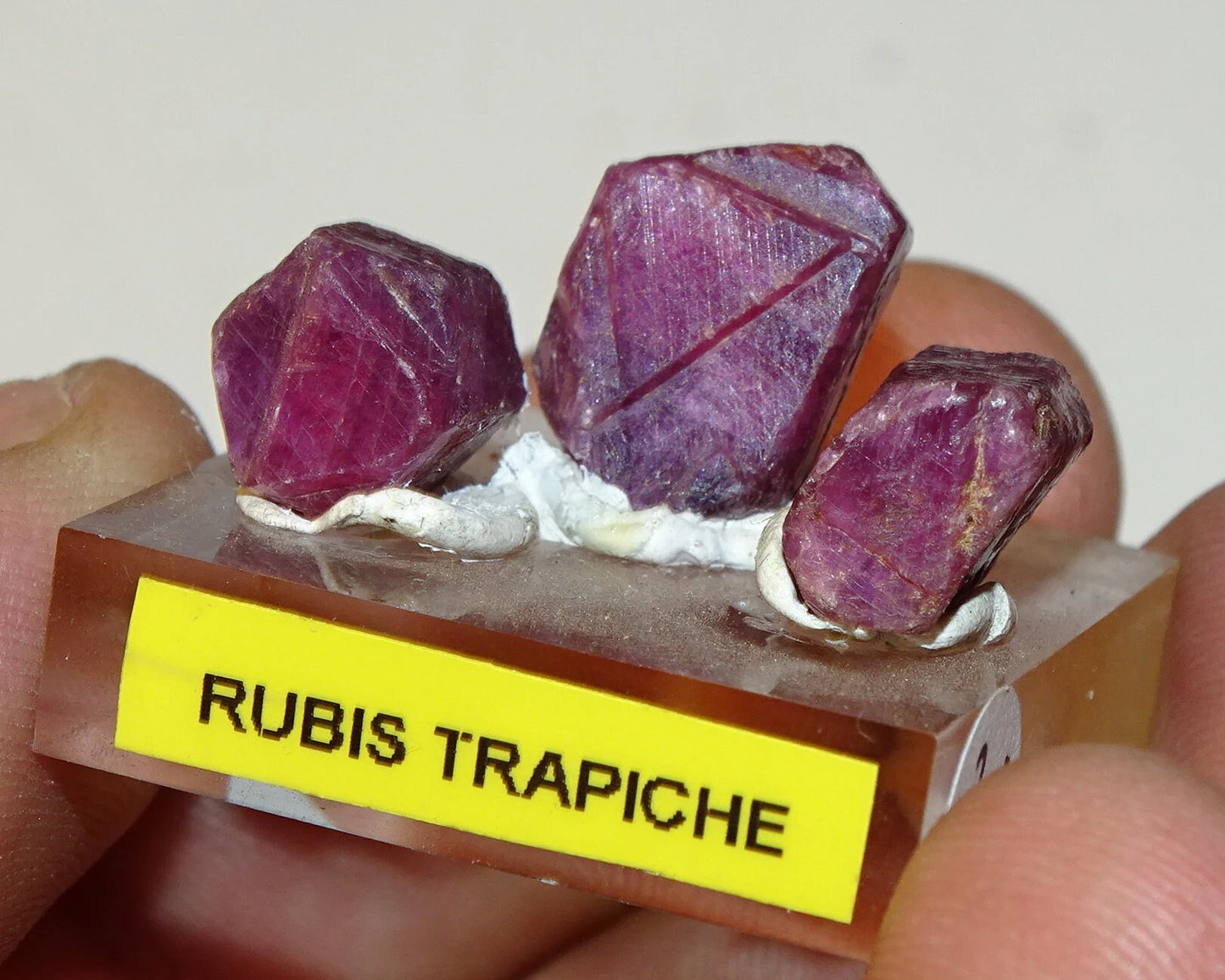 Rubis 'Trapiche', lot de 3 pièces de 10mm x7 x5 environ - 7,9 grammes/ 39,5 carats. Parfait en bijouterie, collection ,exposition...