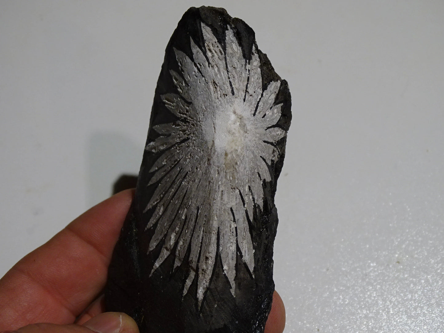 Pierre de Chrysanthème (inclusions en forme de fleurs), de 105mm x 60x52 - 63,8 grammes. Parfait pour décoration, collection ou exposition...