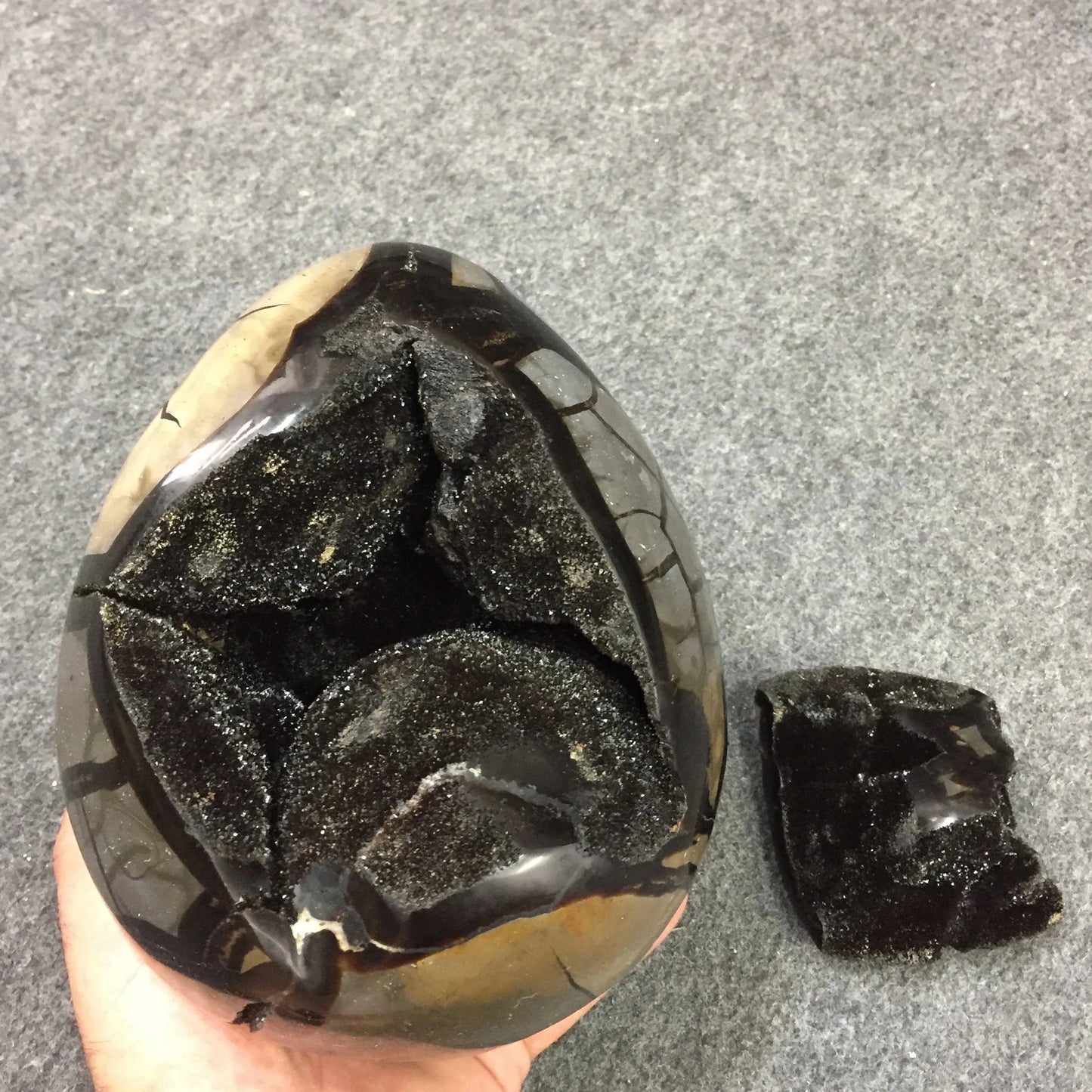 Septaria, oeuf de taille XL en 2 parties, 2,3 kilogrammes, 18x 12 x 12 centimètres. Superbe qualité, incroyables effets positifs pour vos collections, expositions...